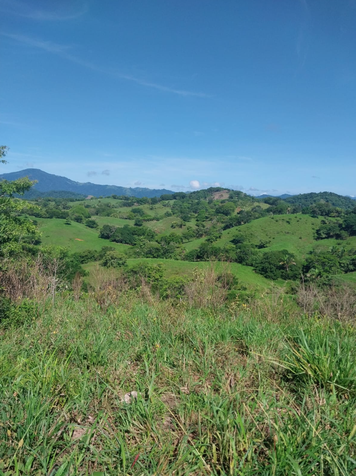 0 bed Land For Sale in Jicaral, Puntarenas - thumb 6