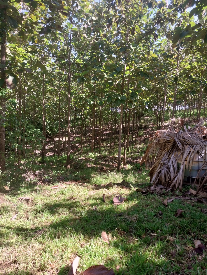 0 bed Land For Sale in Jicaral, Puntarenas - thumb 9