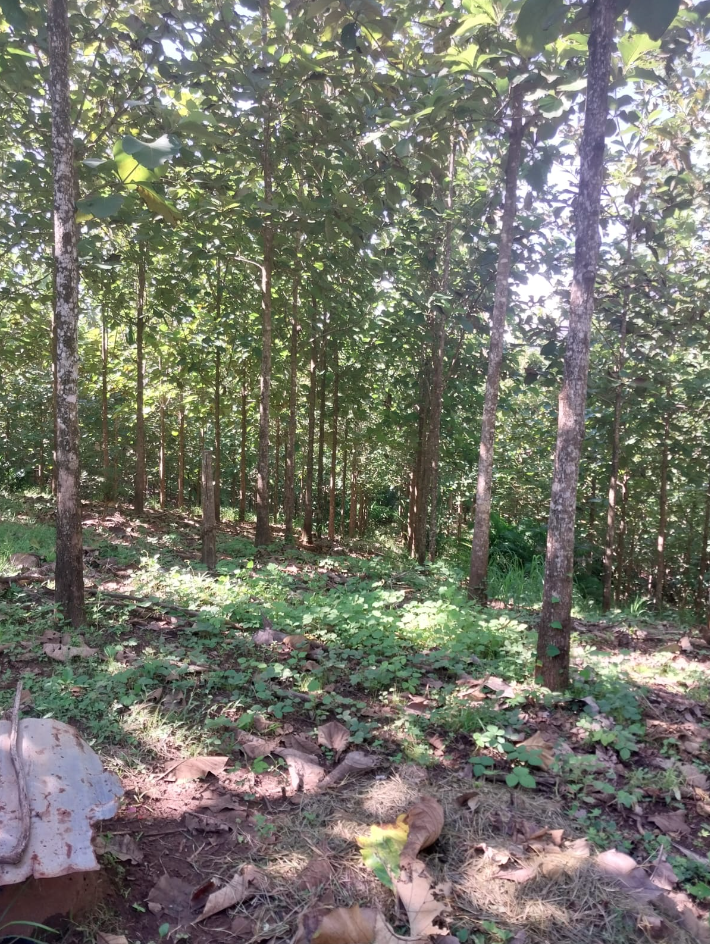 0 bed Land For Sale in Jicaral, Puntarenas - thumb 8