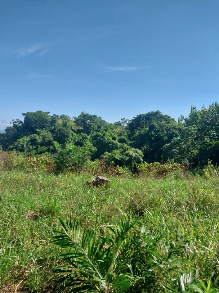 0 bed Land For Sale in Jicaral, Puntarenas - thumb 5