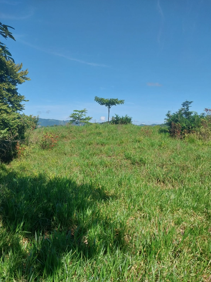 0 bed Land For Sale in Jicaral, Puntarenas - thumb 4