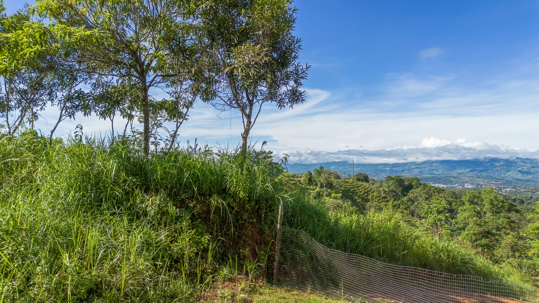 0 bed Land For Sale in San Isidro de El General, San Jose - thumb 2