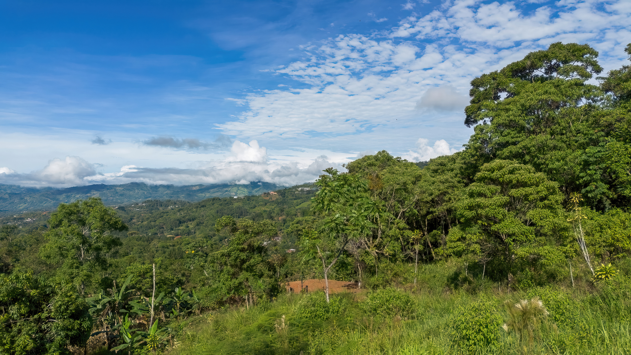 0 bed Land For Sale in San Isidro de El General, San Jose - thumb 3