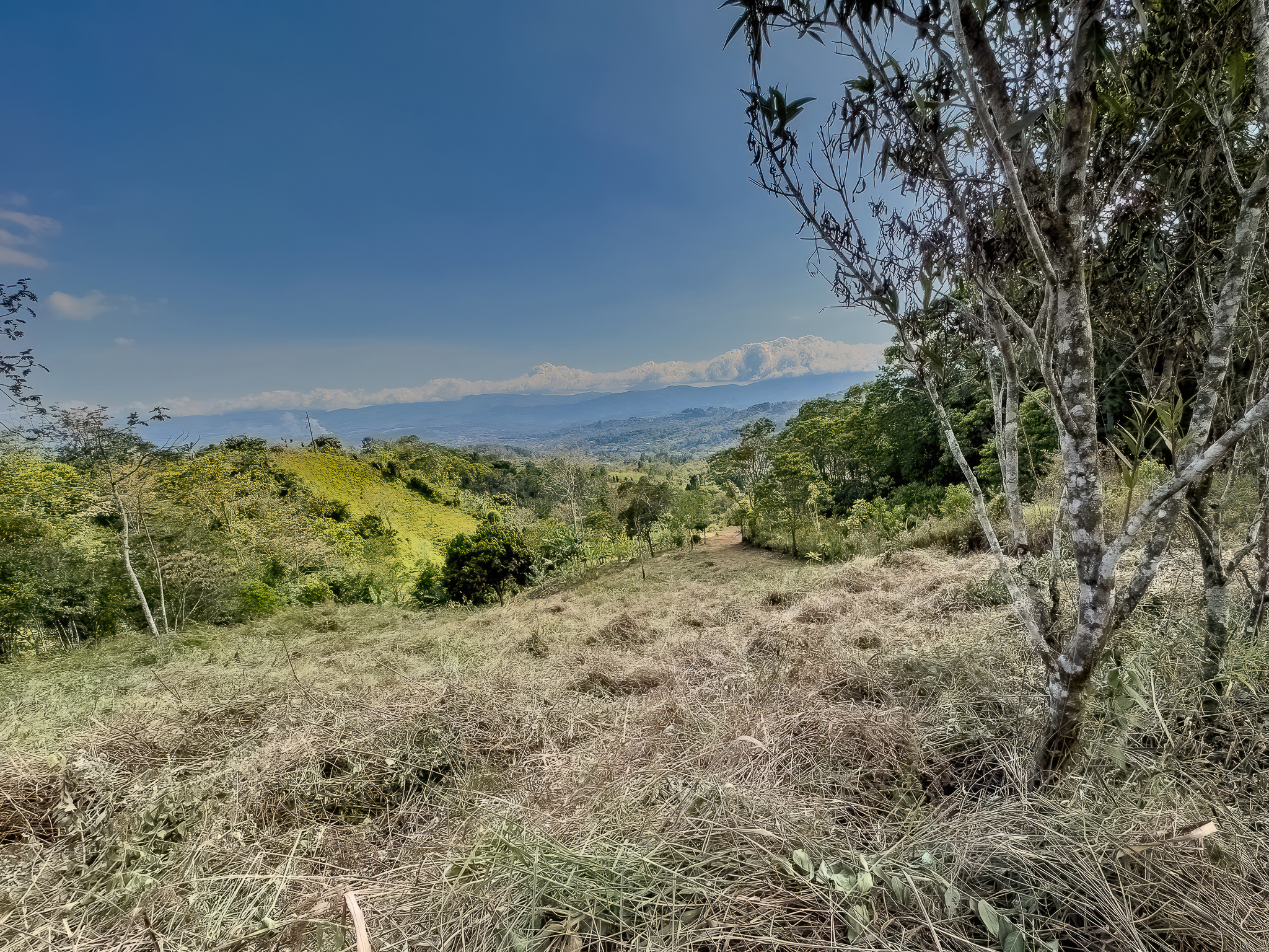 0 bed Land For Sale in San Isidro de El General, San Jose - thumb 11