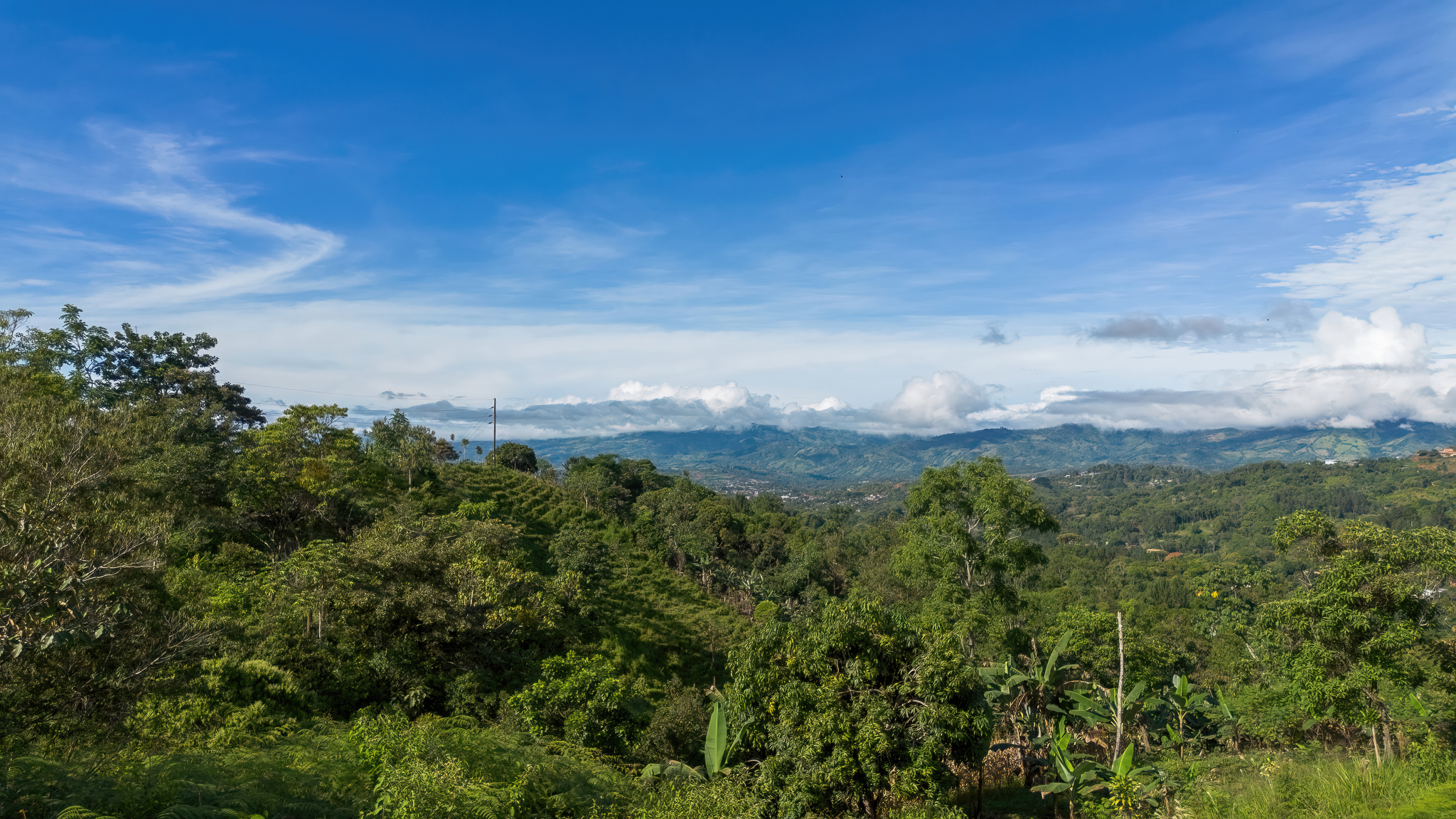 0 bed Land For Sale in San Isidro de El General, San Jose - thumb 4