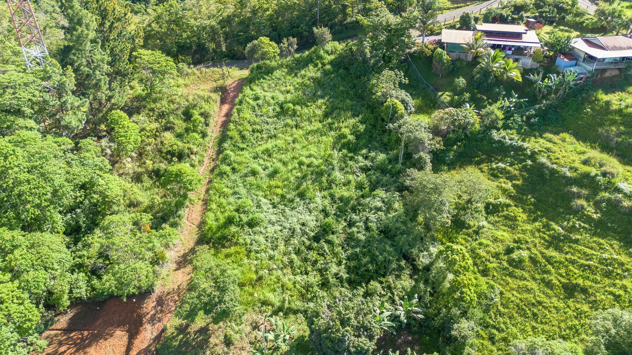 0 bed Land For Sale in San Isidro de El General, San Jose - thumb 6