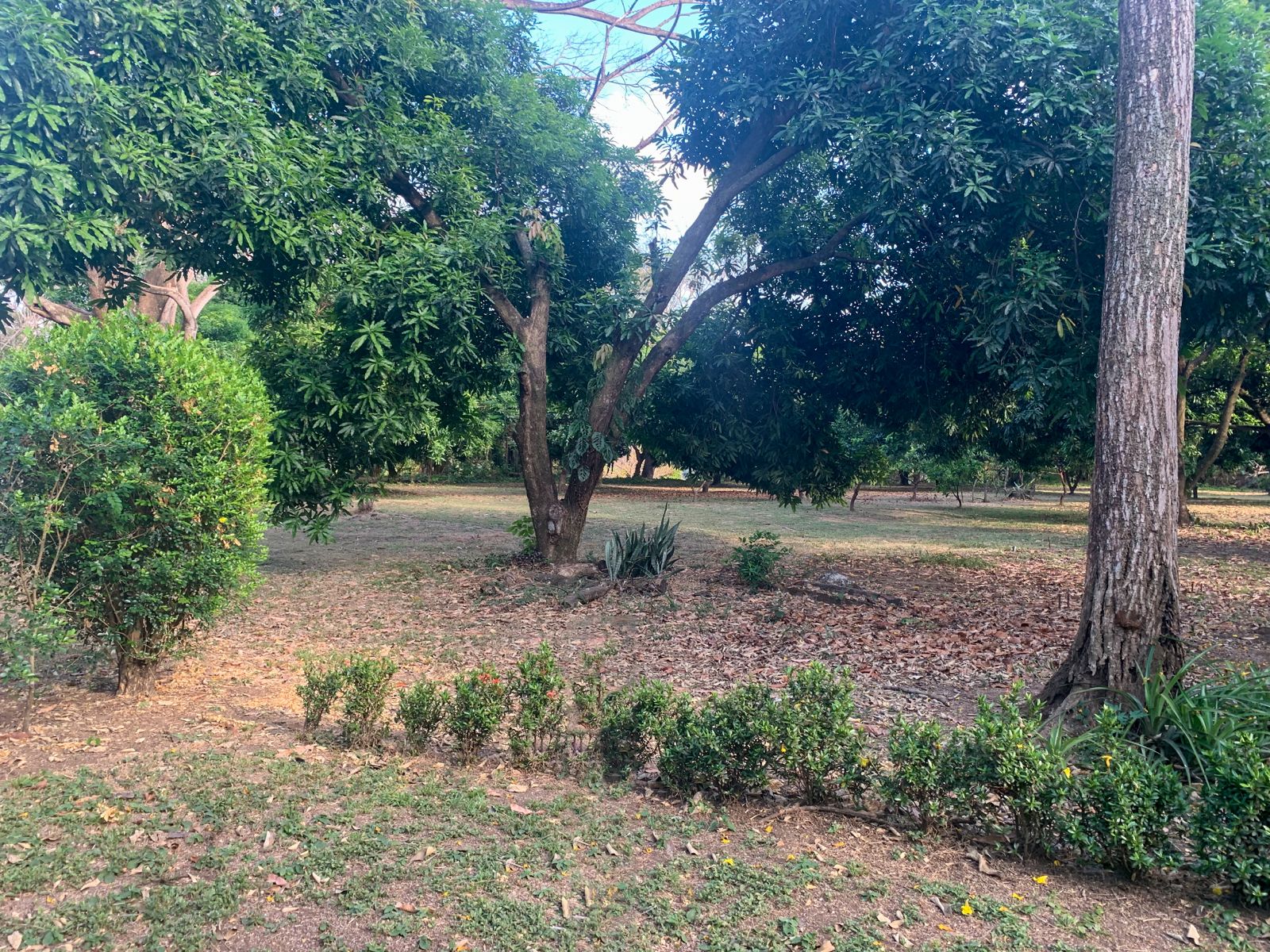 3 bed Land For Sale in Orotina, Alajuela - thumb 2