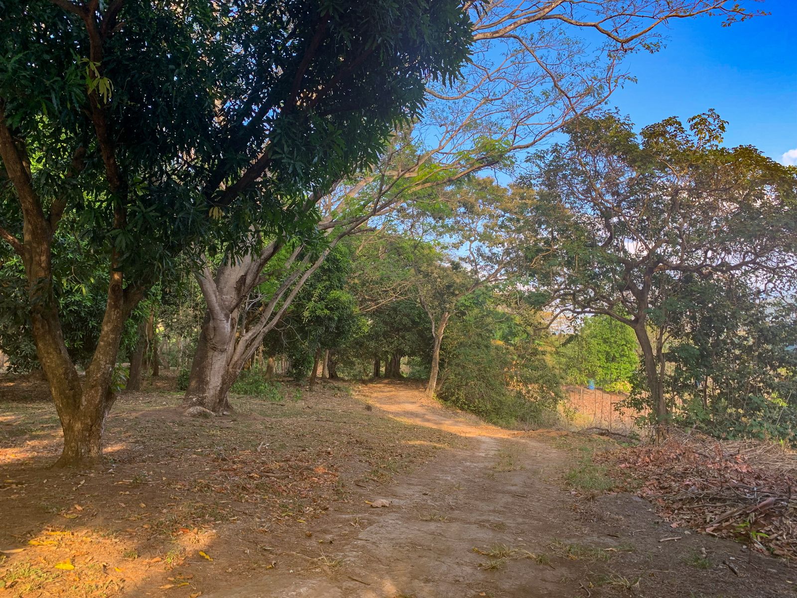 3 bed Land For Sale in Orotina, Alajuela - thumb 7