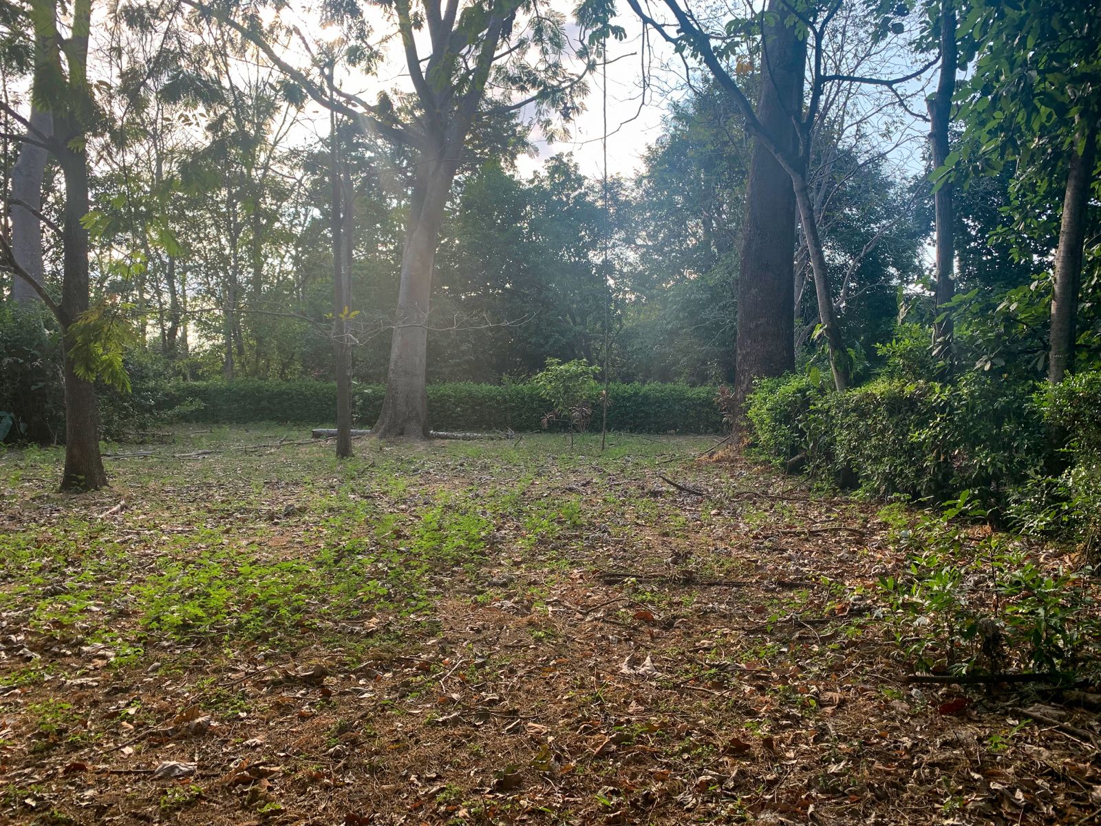 3 bed Land For Sale in Orotina, Alajuela - thumb 4