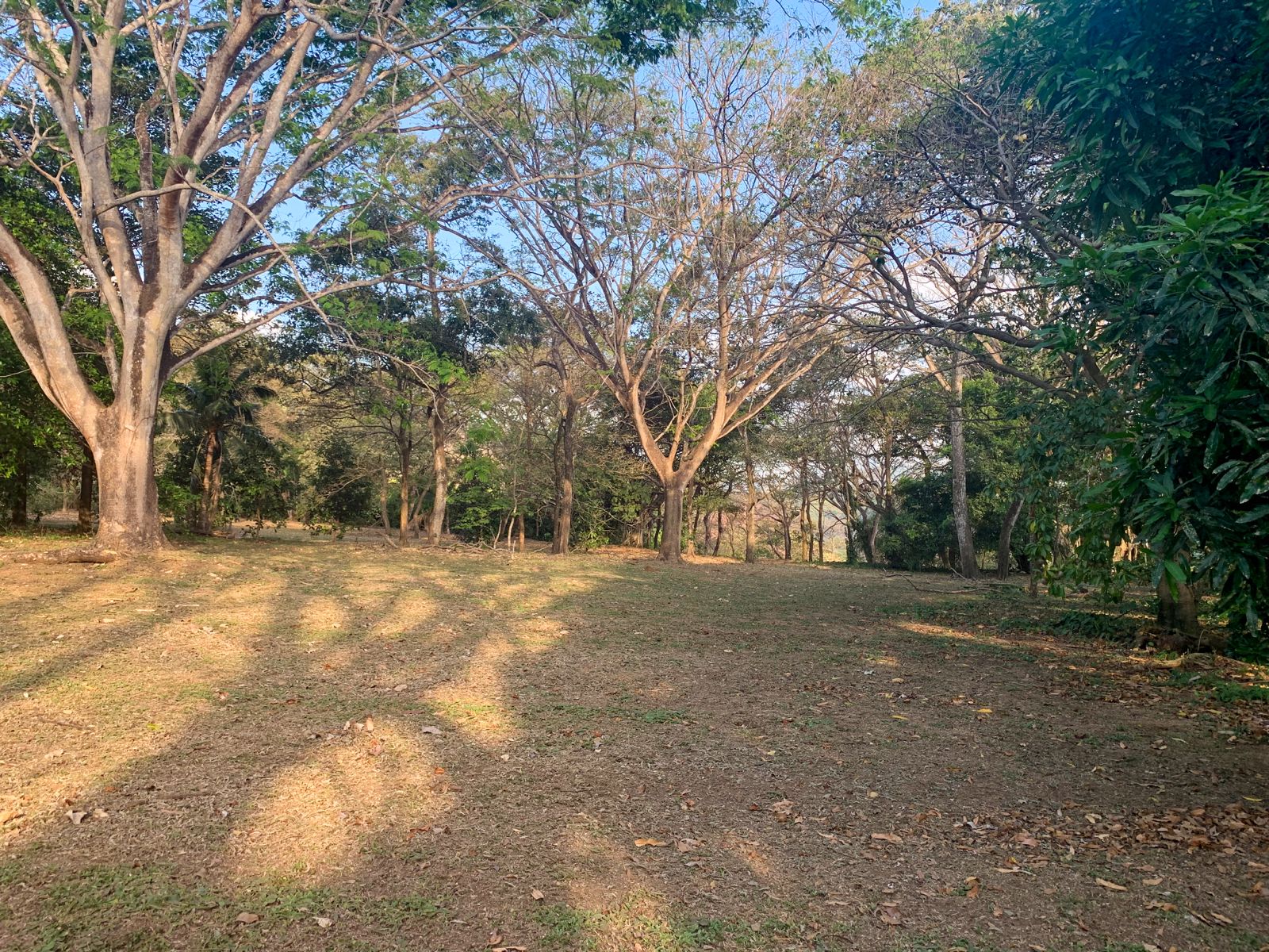 3 bed Land For Sale in Orotina, Alajuela - thumb 5