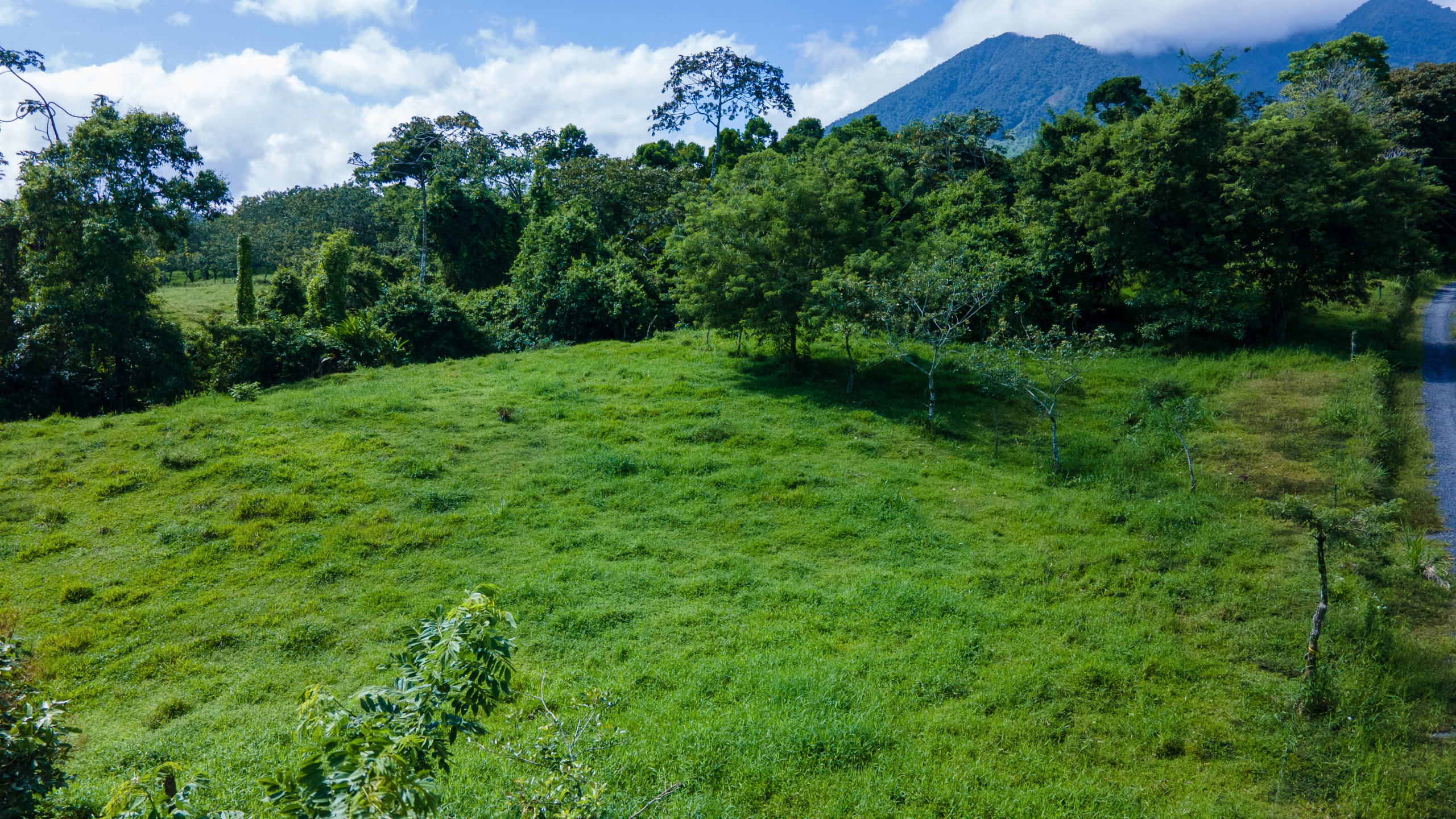 0 bed Land For Sale in Grecia, Alajuela - thumb 4