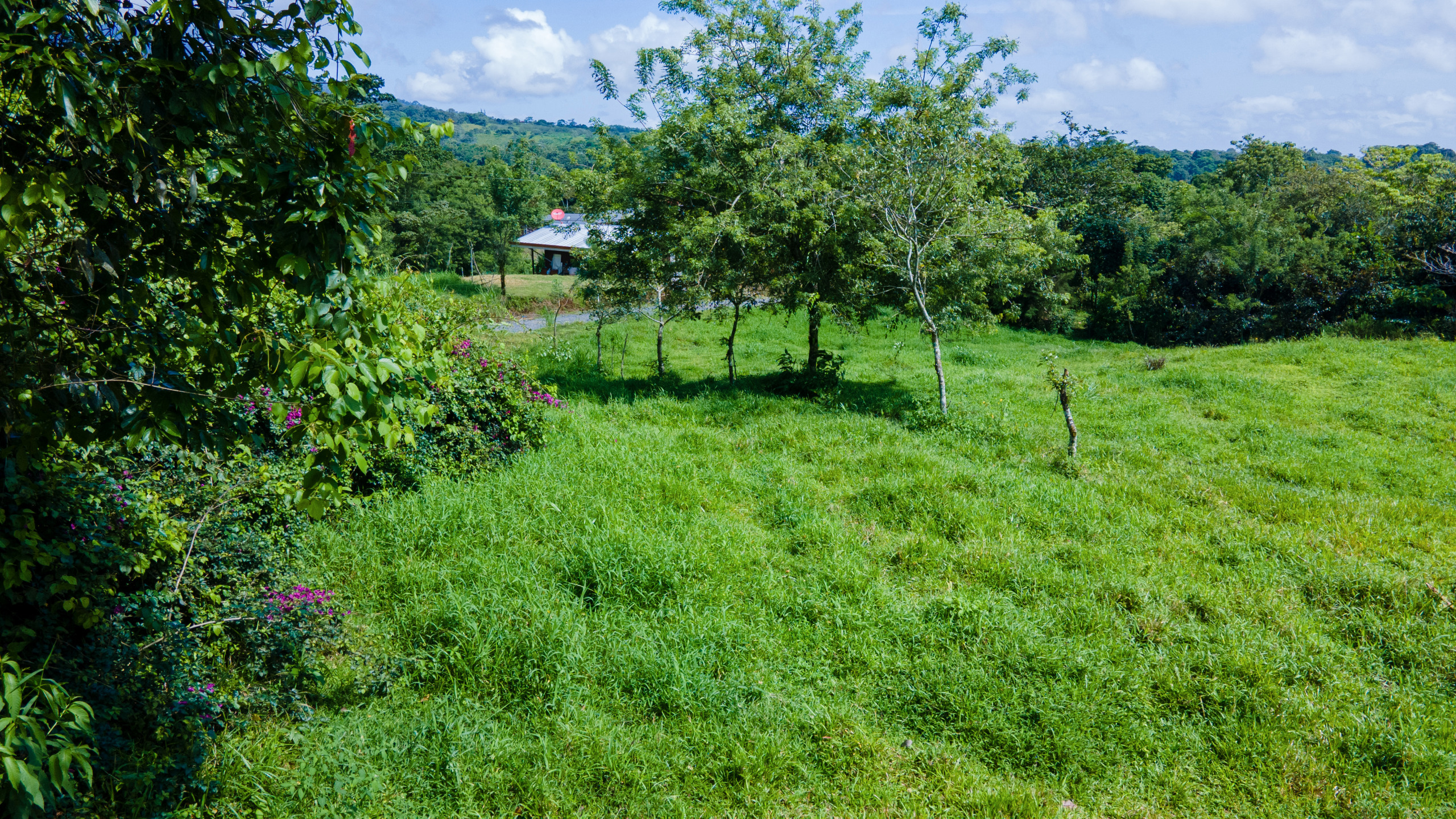 0 bed Land For Sale in Grecia, Alajuela - thumb 6
