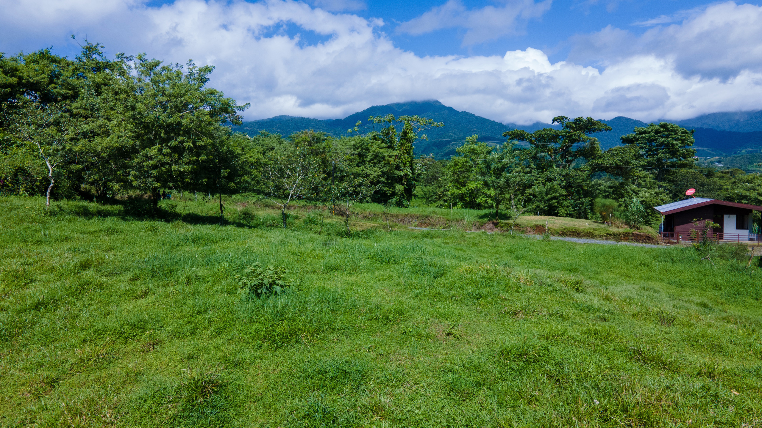 0 bed Land For Sale in Grecia, Alajuela - thumb 5