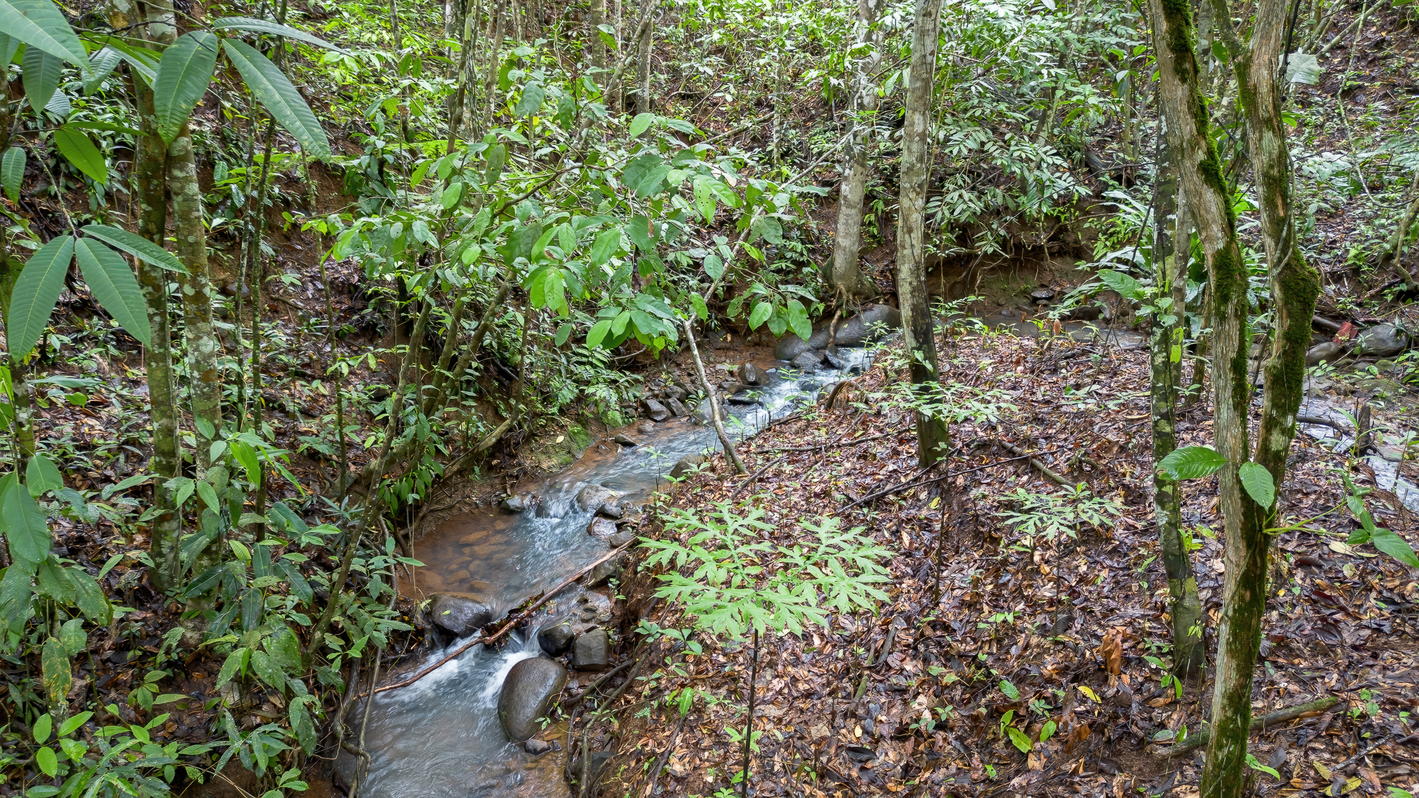 0 bed Land For Sale in Perez Zeledon, San Jose - thumb 9