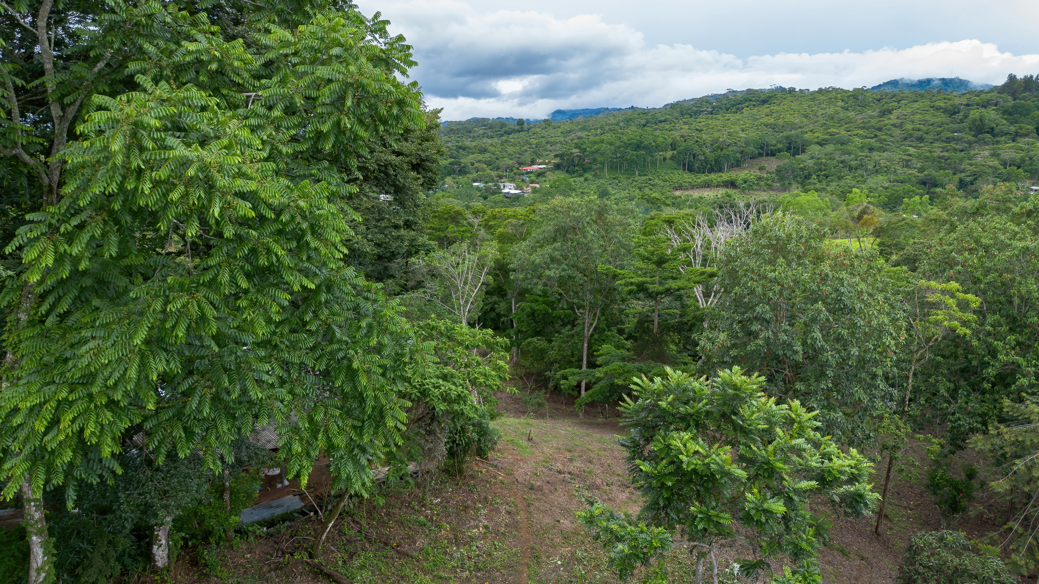 0 bed Land For Sale in Perez Zeledon, San Jose - thumb 3