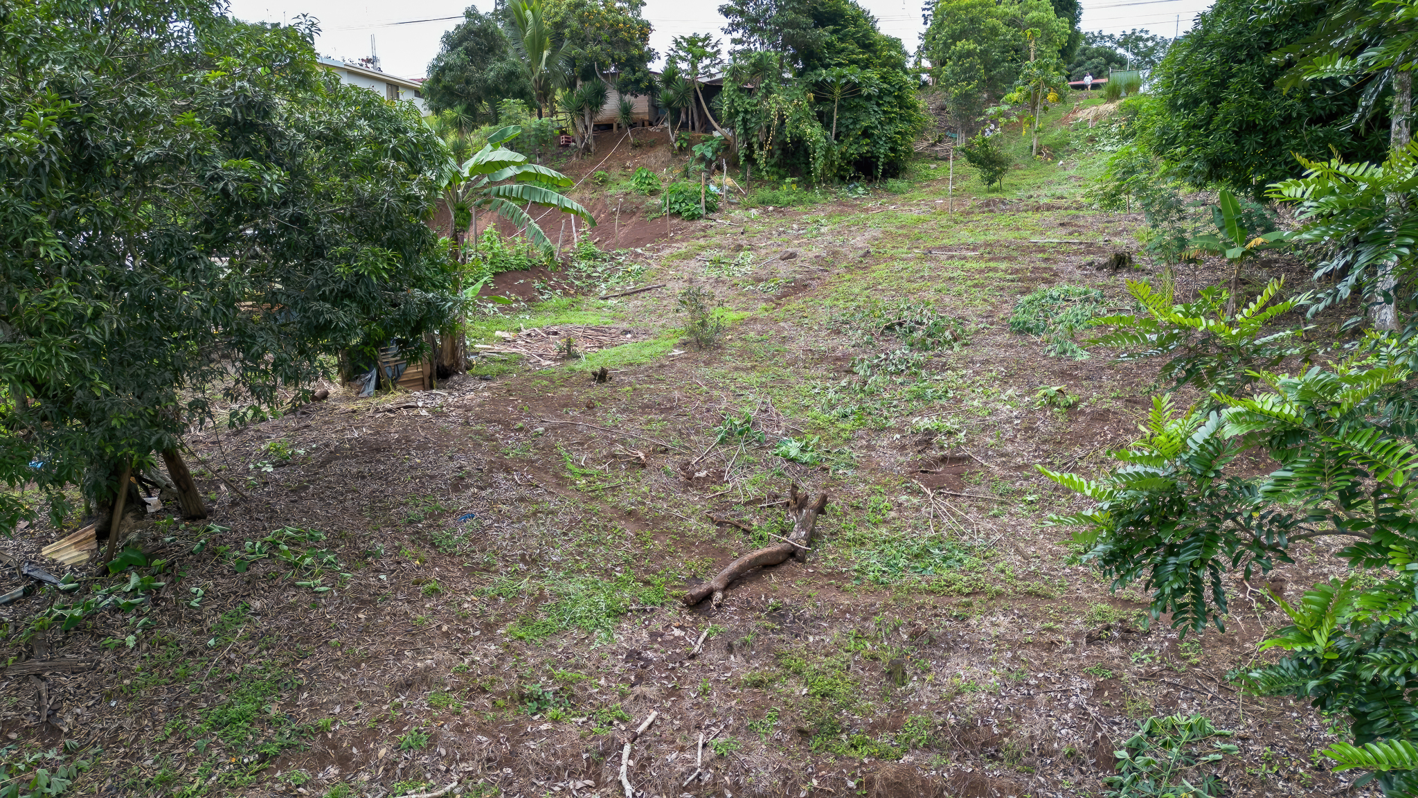 0 bed Land For Sale in Perez Zeledon, San Jose - thumb 6