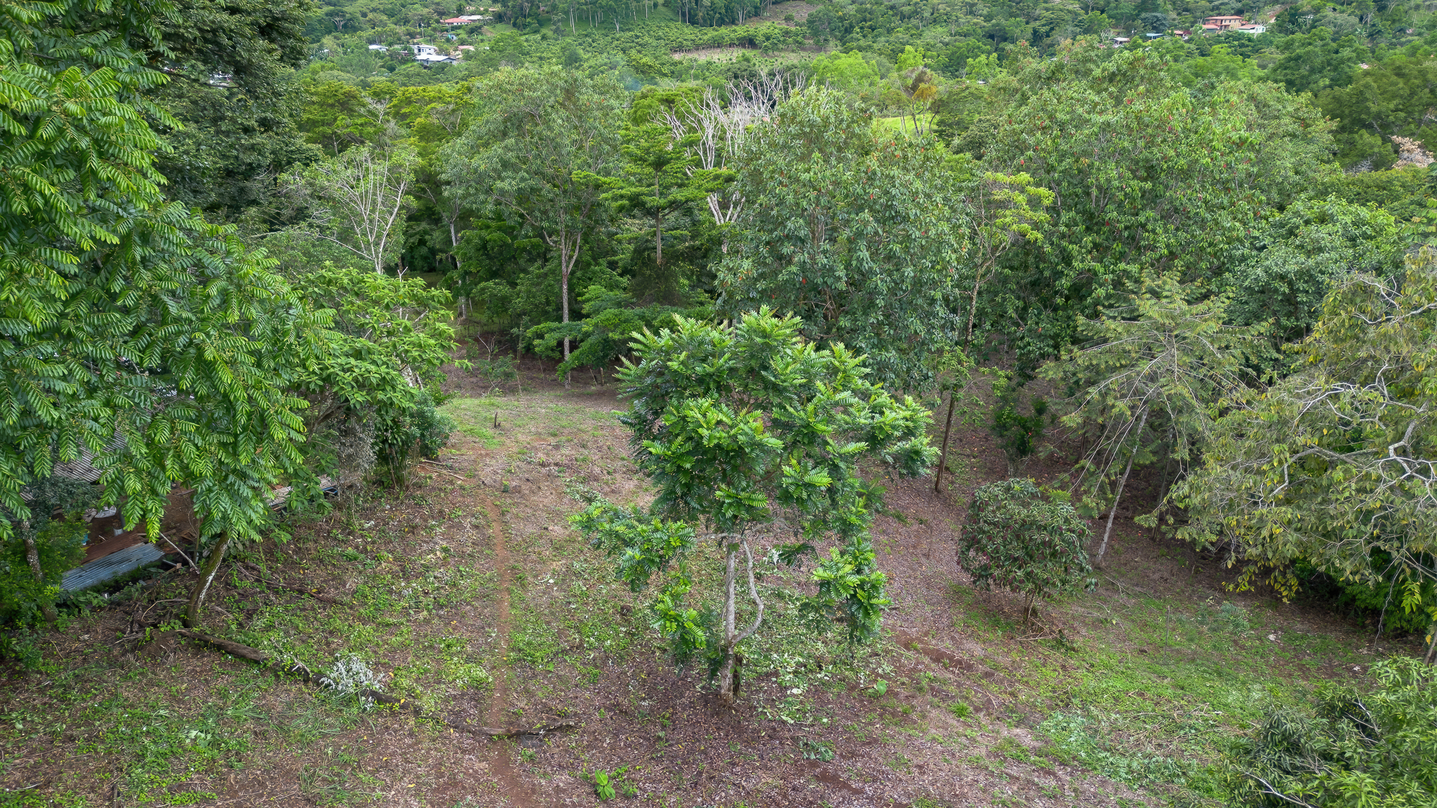 0 bed Land For Sale in Perez Zeledon, San Jose - thumb 5