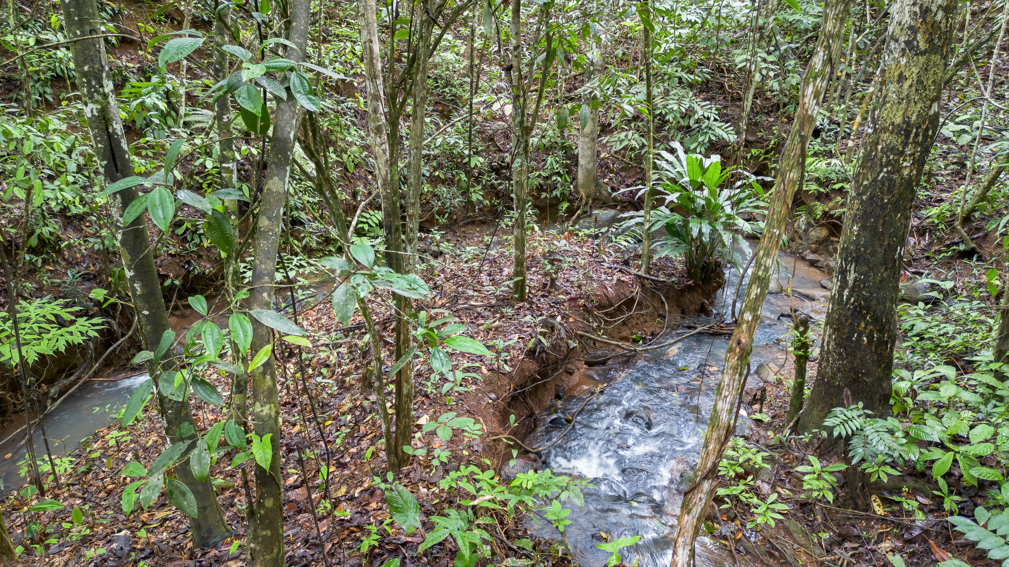 0 bed Land For Sale in Perez Zeledon, San Jose - thumb 11