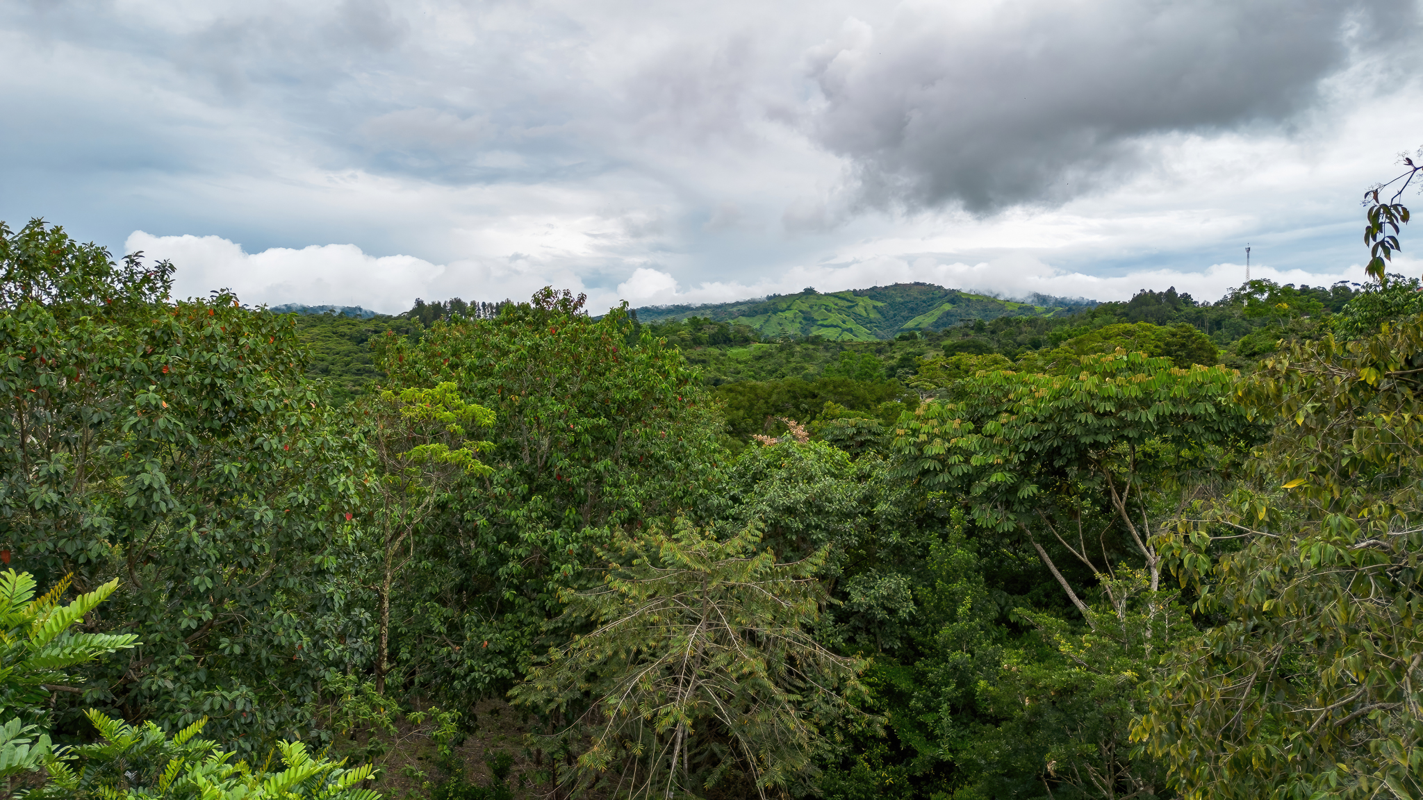 0 bed Land For Sale in Perez Zeledon, San Jose - thumb 15