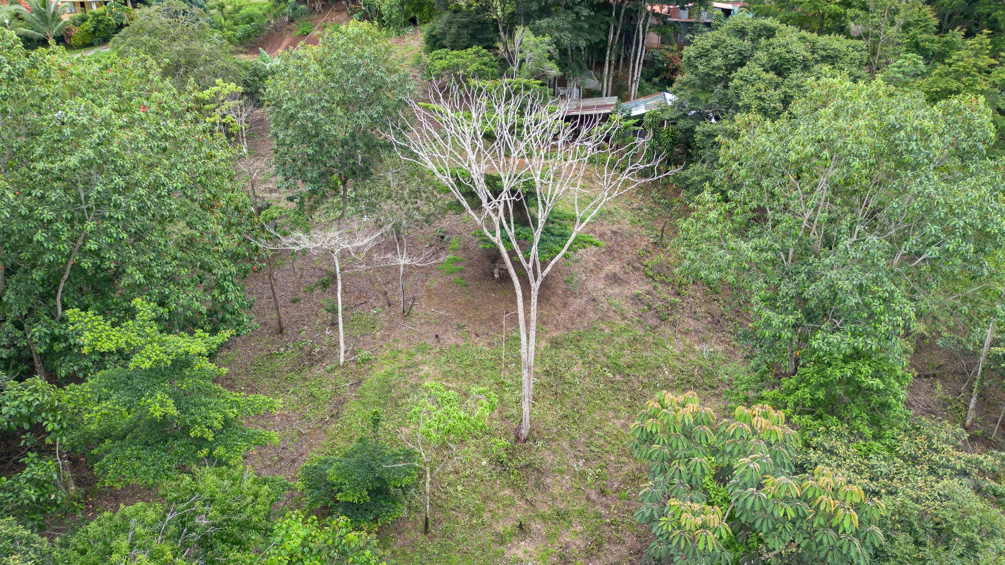 0 bed Land For Sale in Perez Zeledon, San Jose - thumb 12