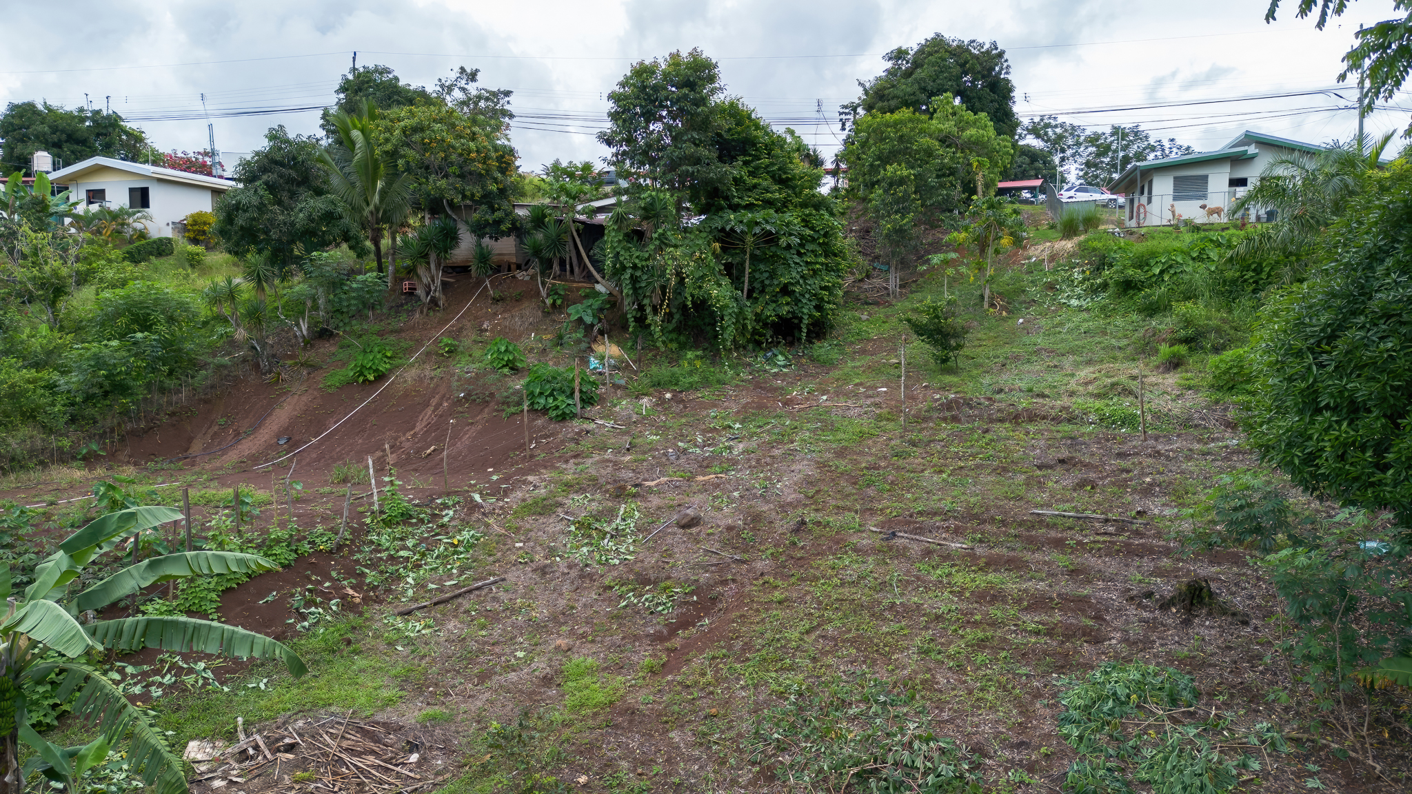 0 bed Land For Sale in Perez Zeledon, San Jose - thumb 14