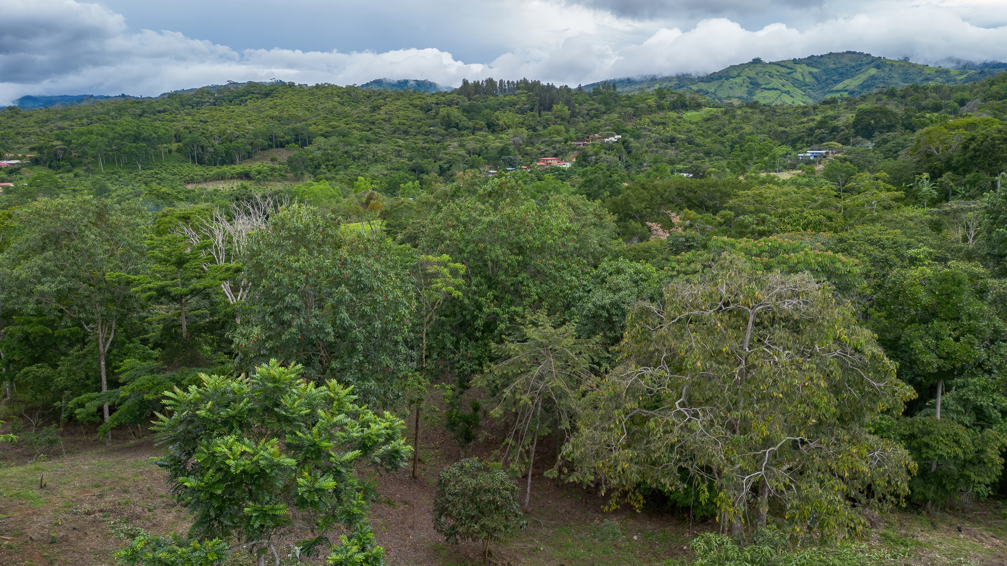0 bed Land For Sale in Perez Zeledon, San Jose - thumb 4