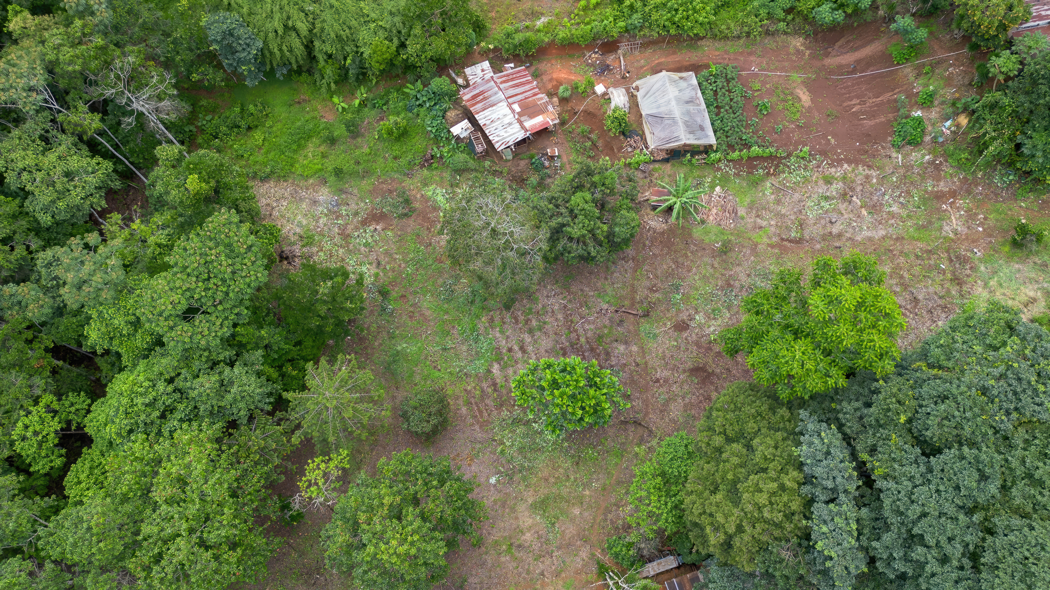 0 bed Land For Sale in Perez Zeledon, San Jose - thumb 2