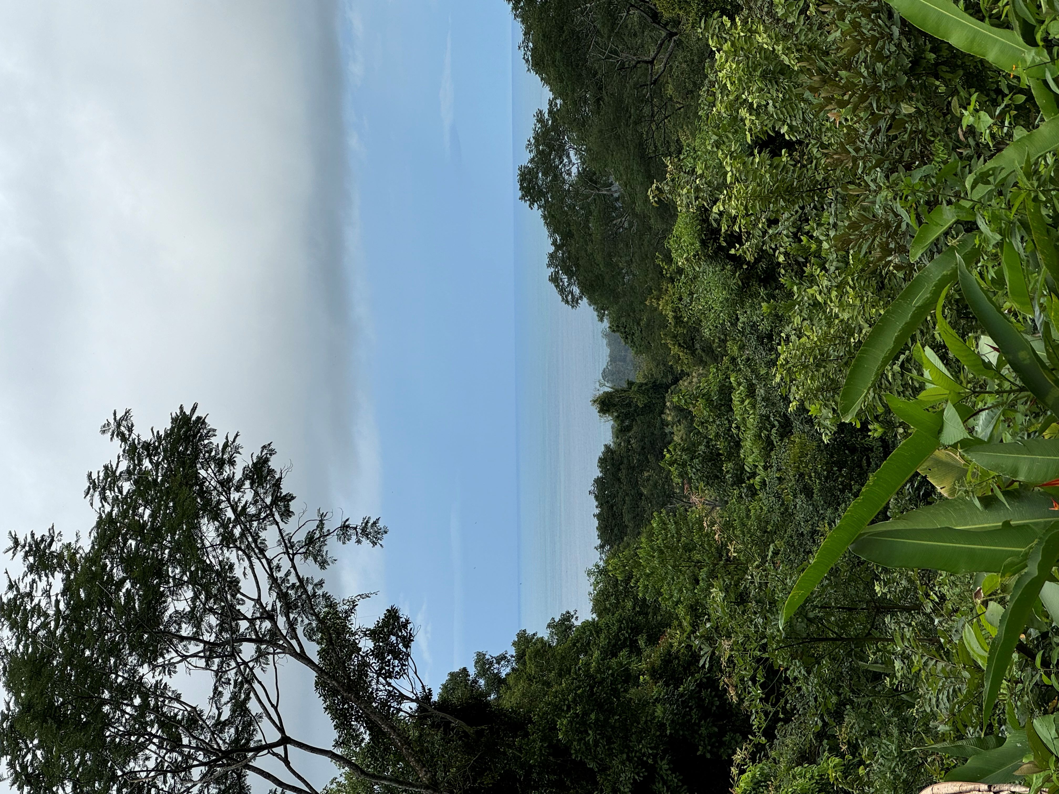 0 bed Land For Sale in Matapalo, Puntarenas - thumb 1