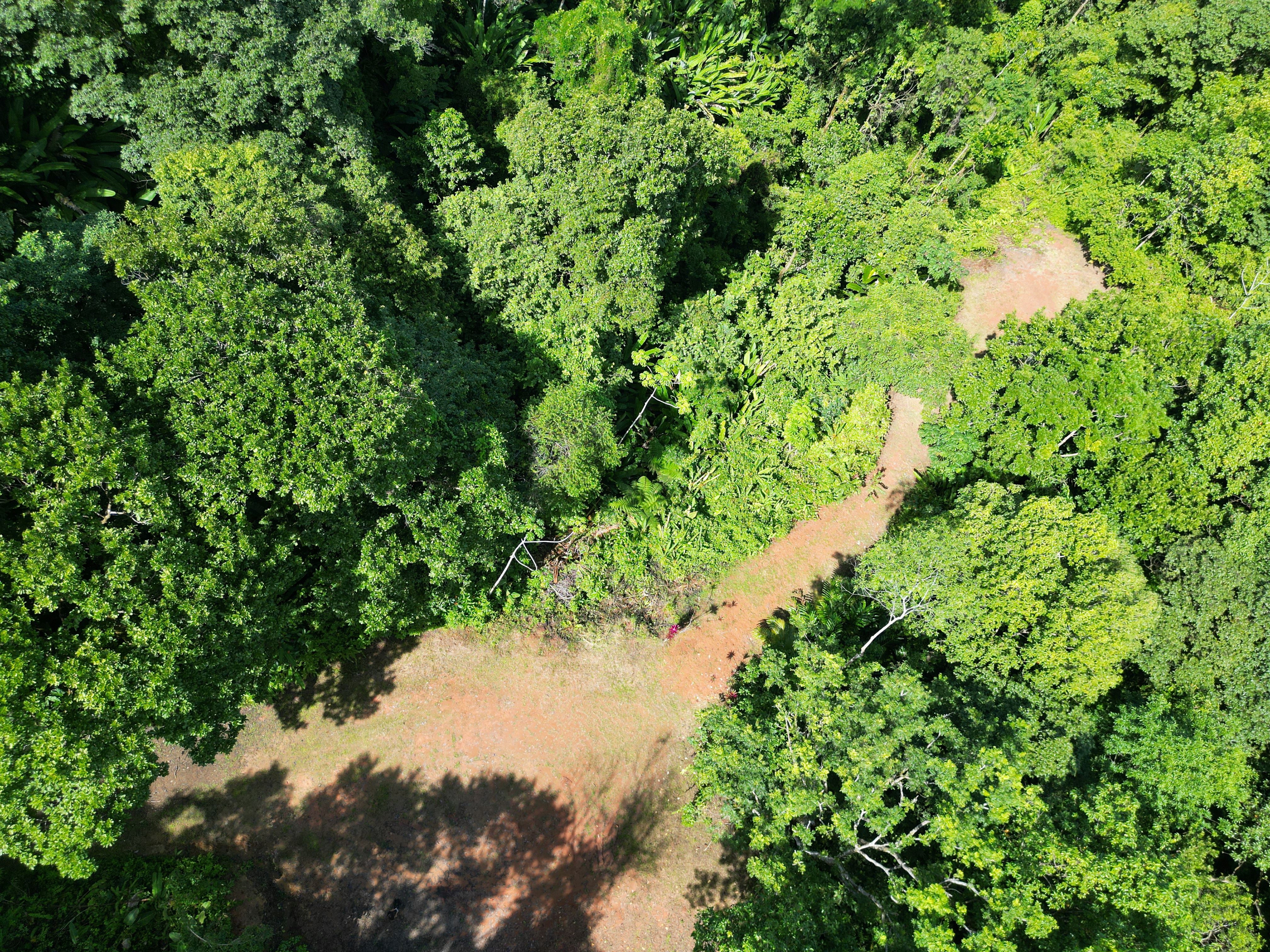 0 bed Land For Sale in Matapalo, Puntarenas - thumb 6