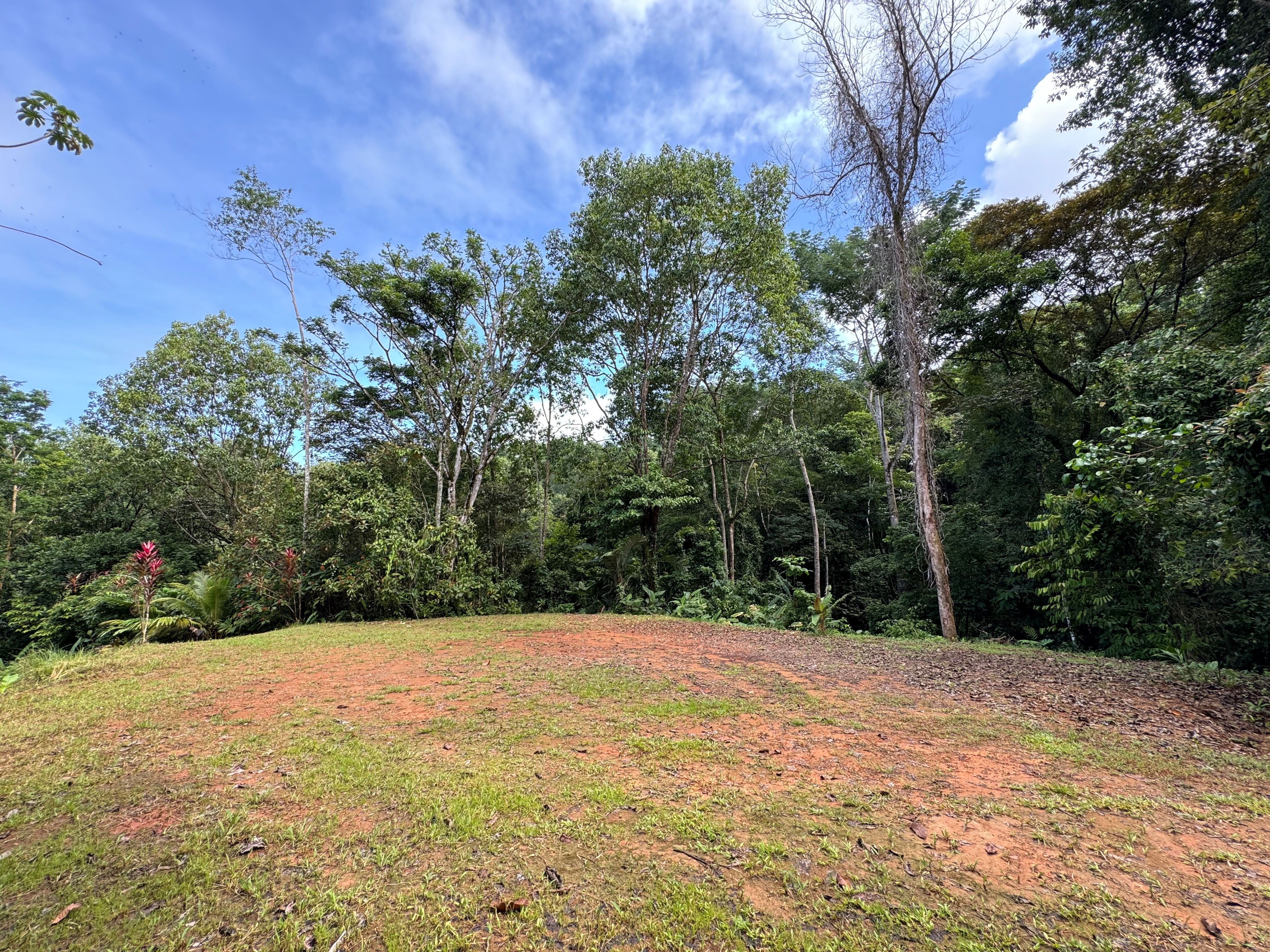 0 bed Land For Sale in Matapalo, Puntarenas - thumb 10