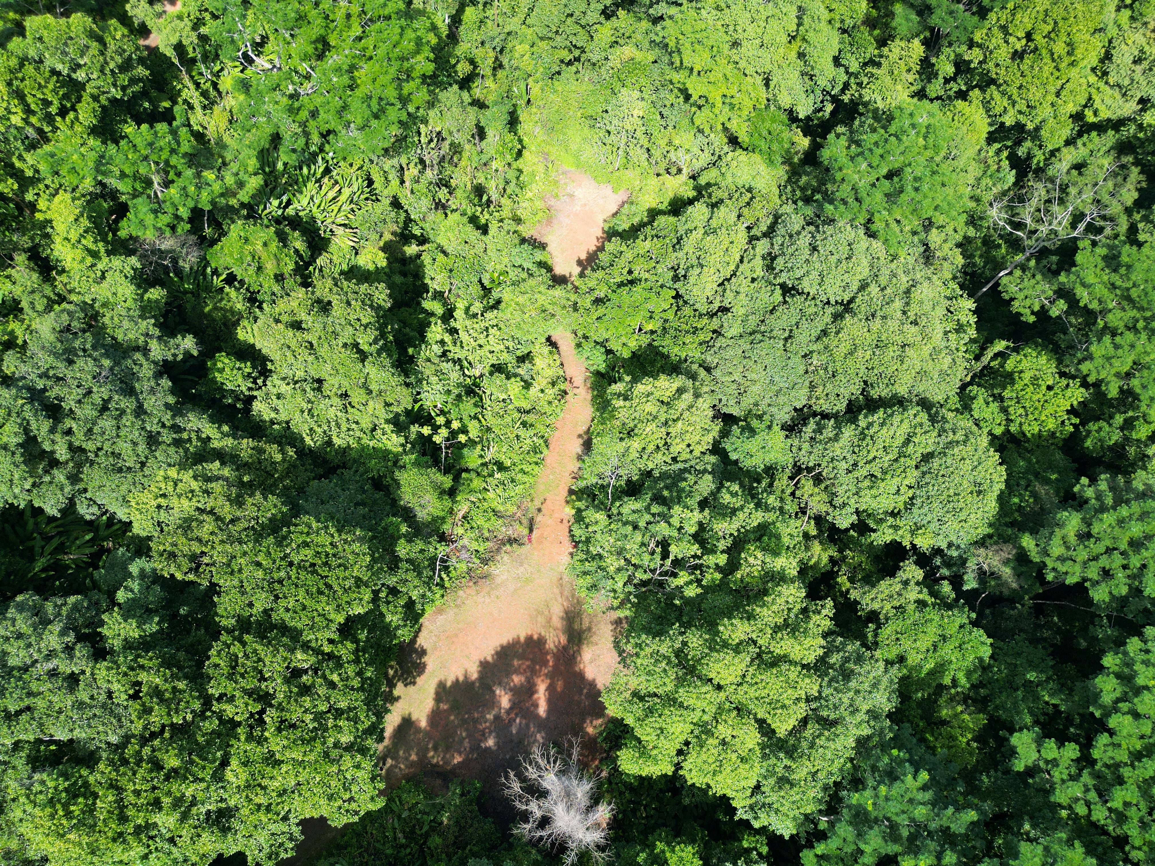 0 bed Land For Sale in Matapalo, Puntarenas - thumb 2