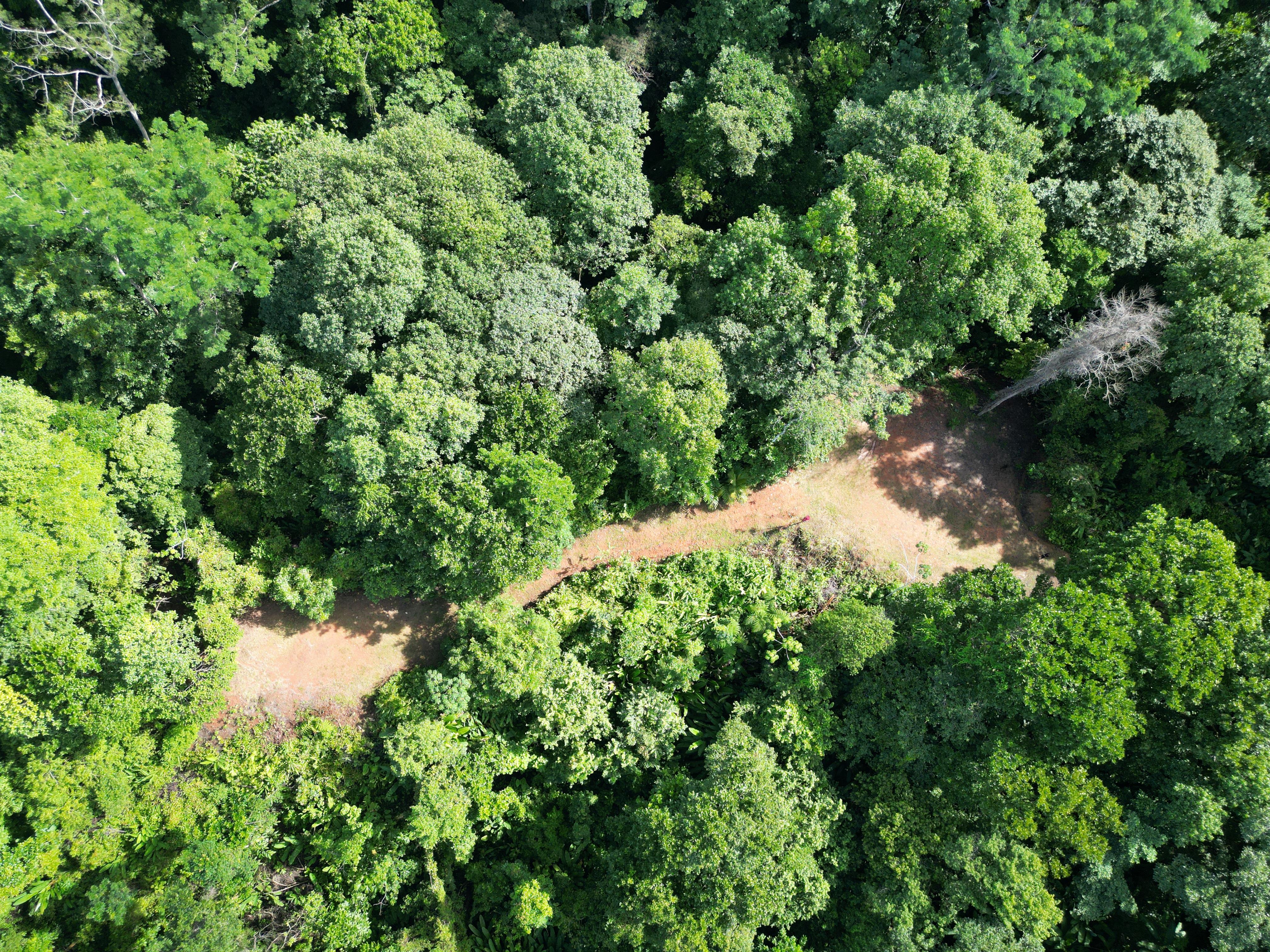 0 bed Land For Sale in Matapalo, Puntarenas - thumb 8