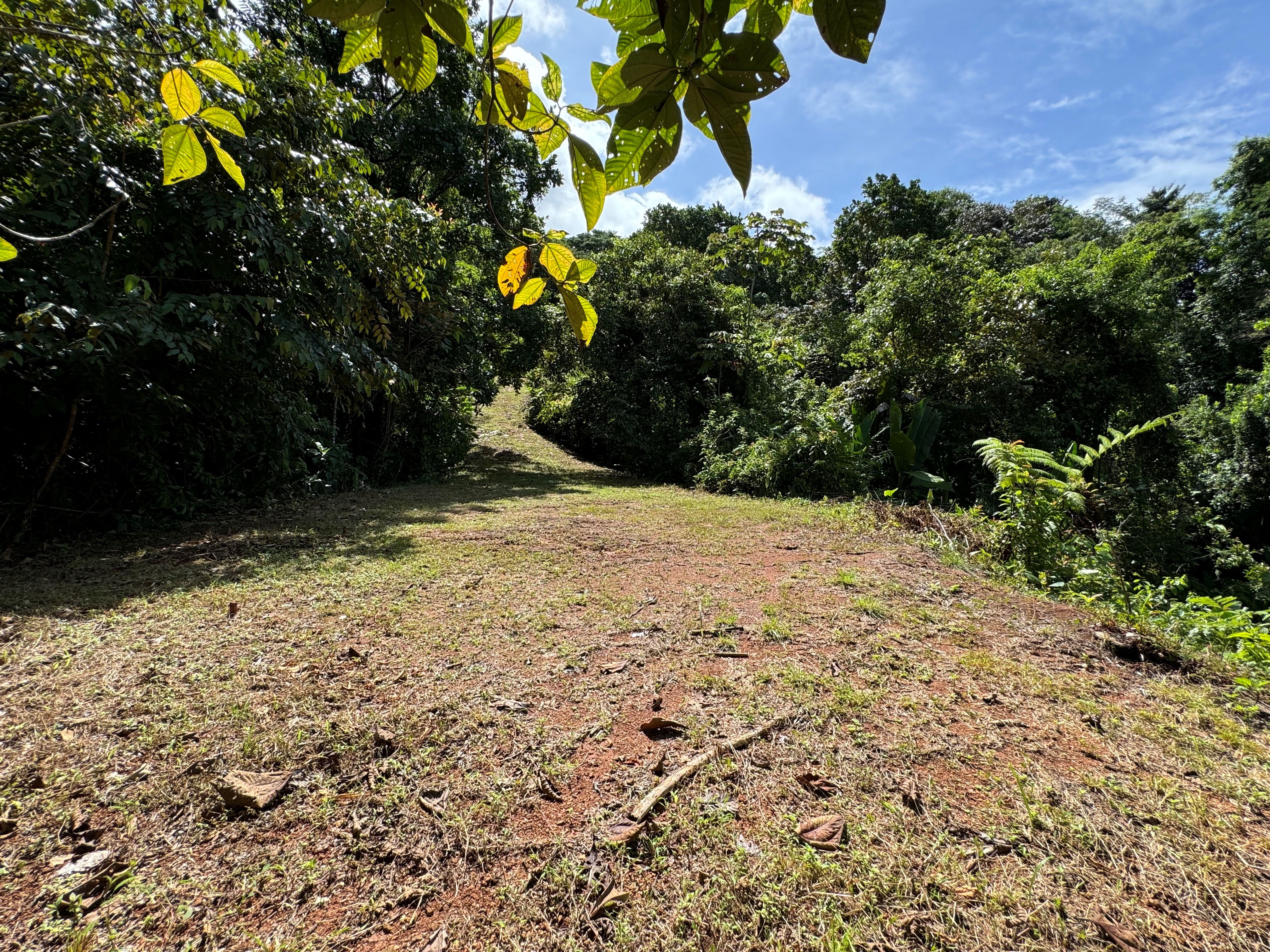 0 bed Land For Sale in Matapalo, Puntarenas - thumb 12