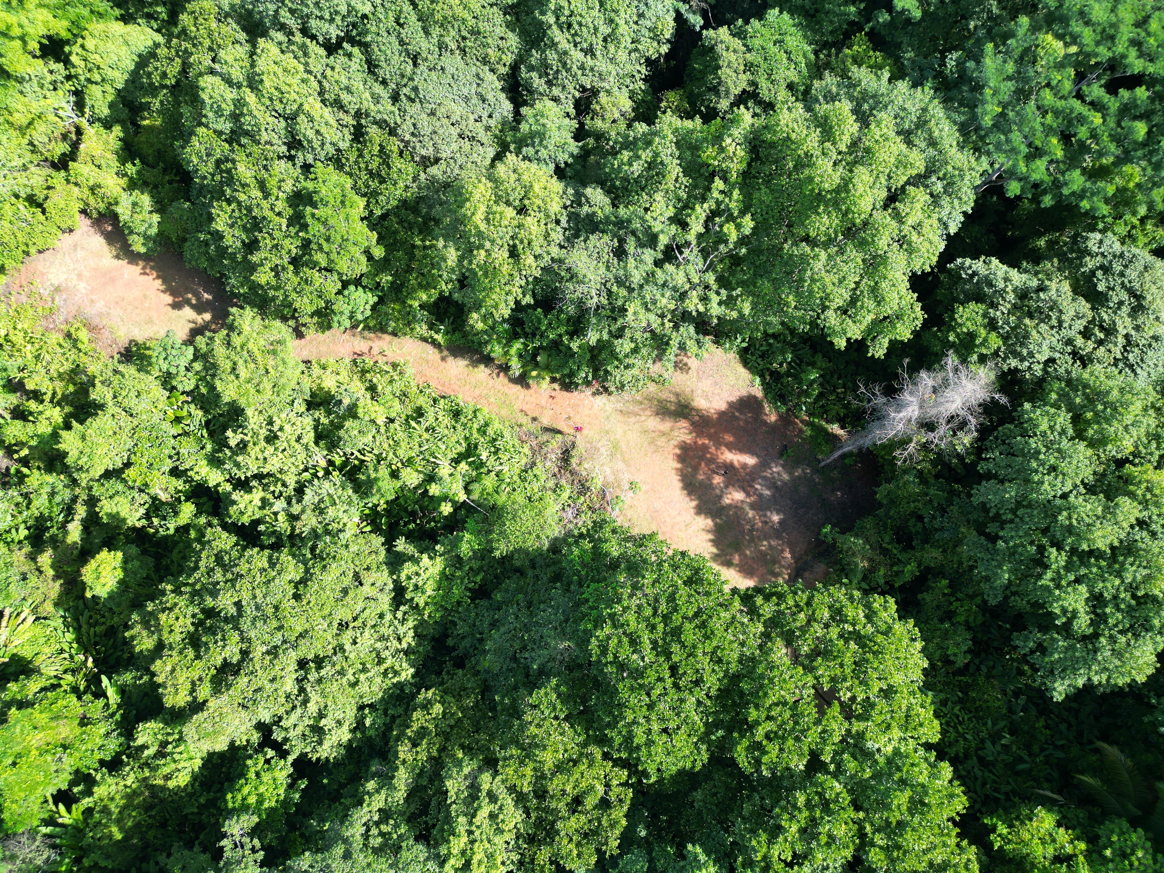 0 bed Land For Sale in Matapalo, Puntarenas - thumb 9