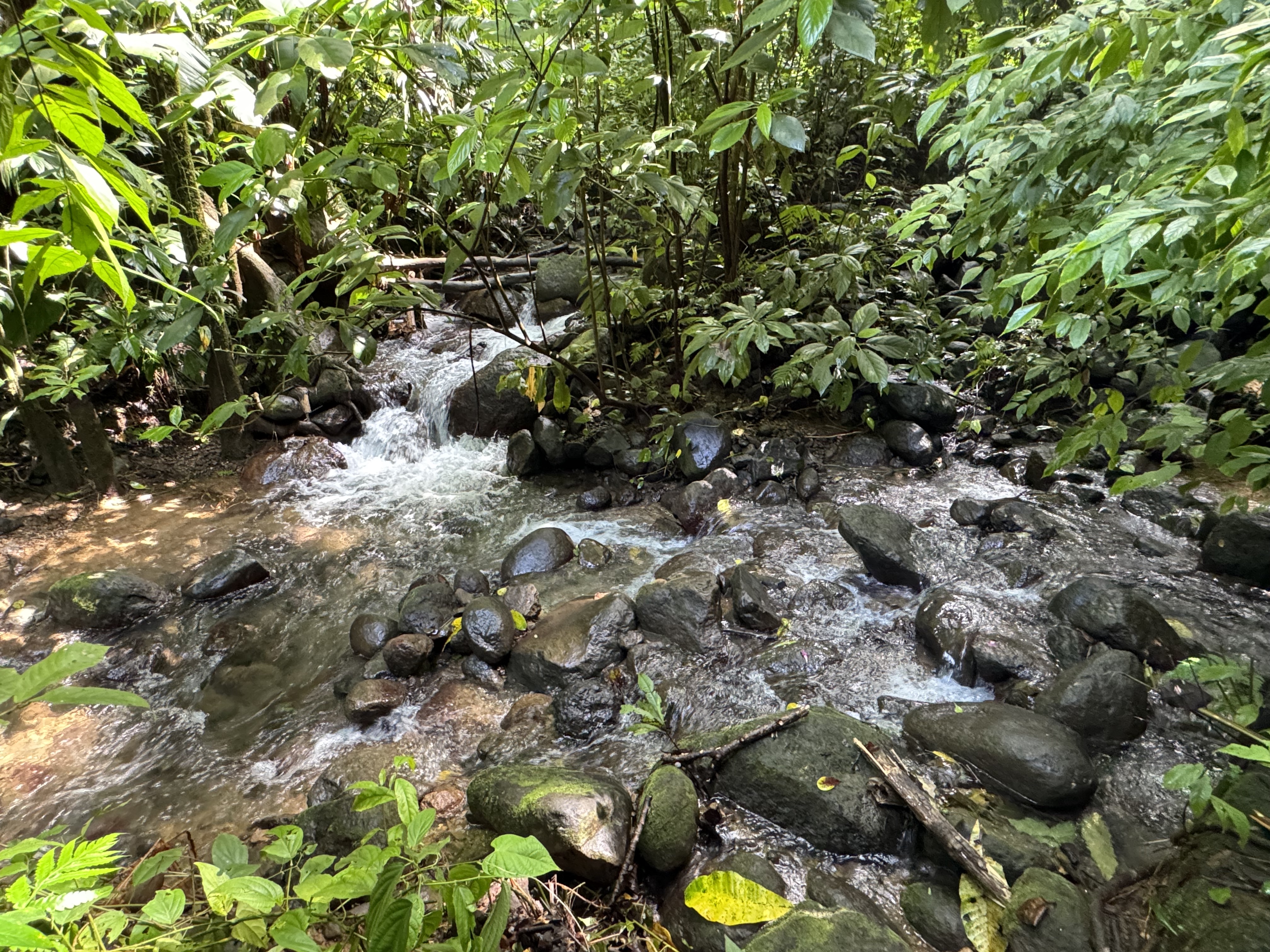 0 bed Land For Sale in Matapalo, Puntarenas - thumb 16