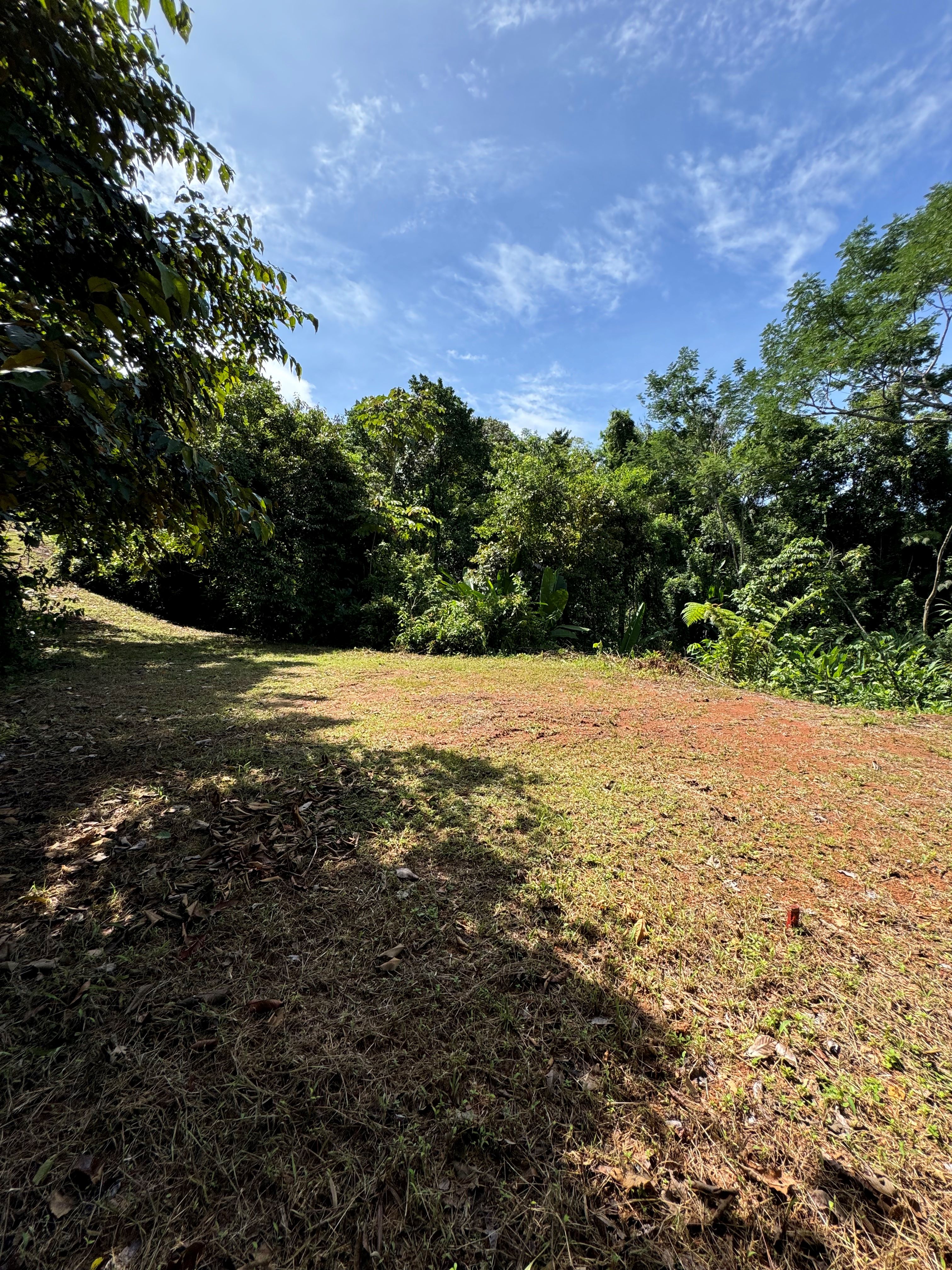 0 bed Land For Sale in Matapalo, Puntarenas - thumb 13