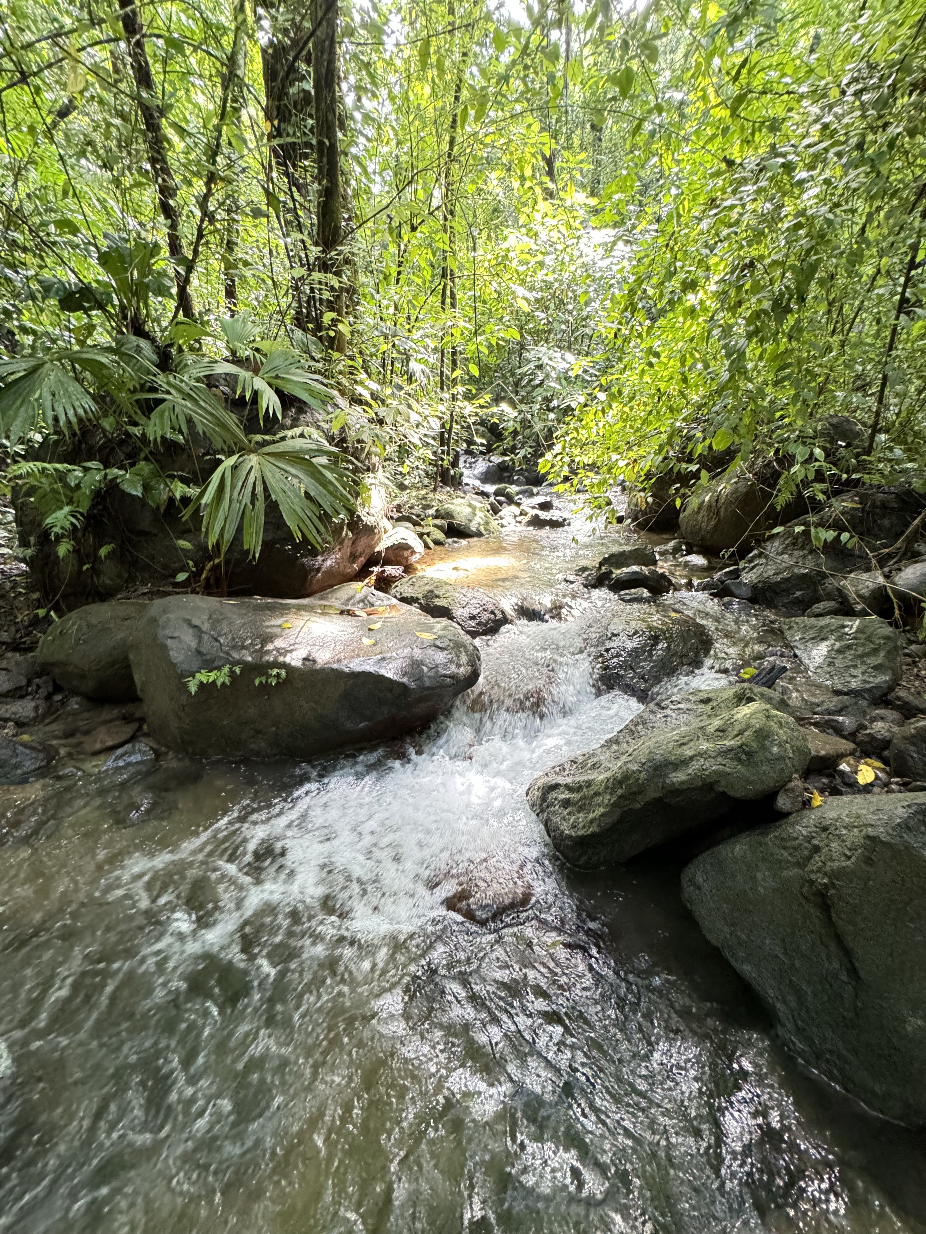 0 bed Land For Sale in Matapalo, Puntarenas - thumb 4