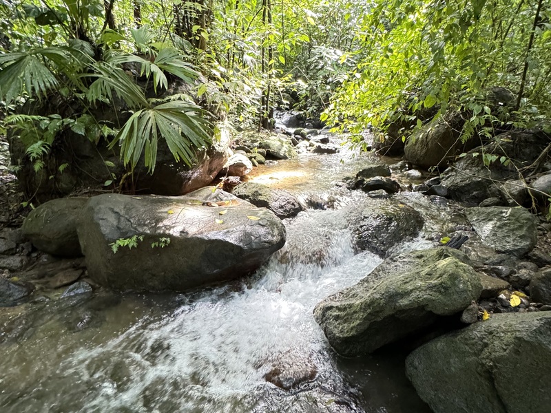 0 bed Land For Sale in Matapalo, Puntarenas - thumb 4
