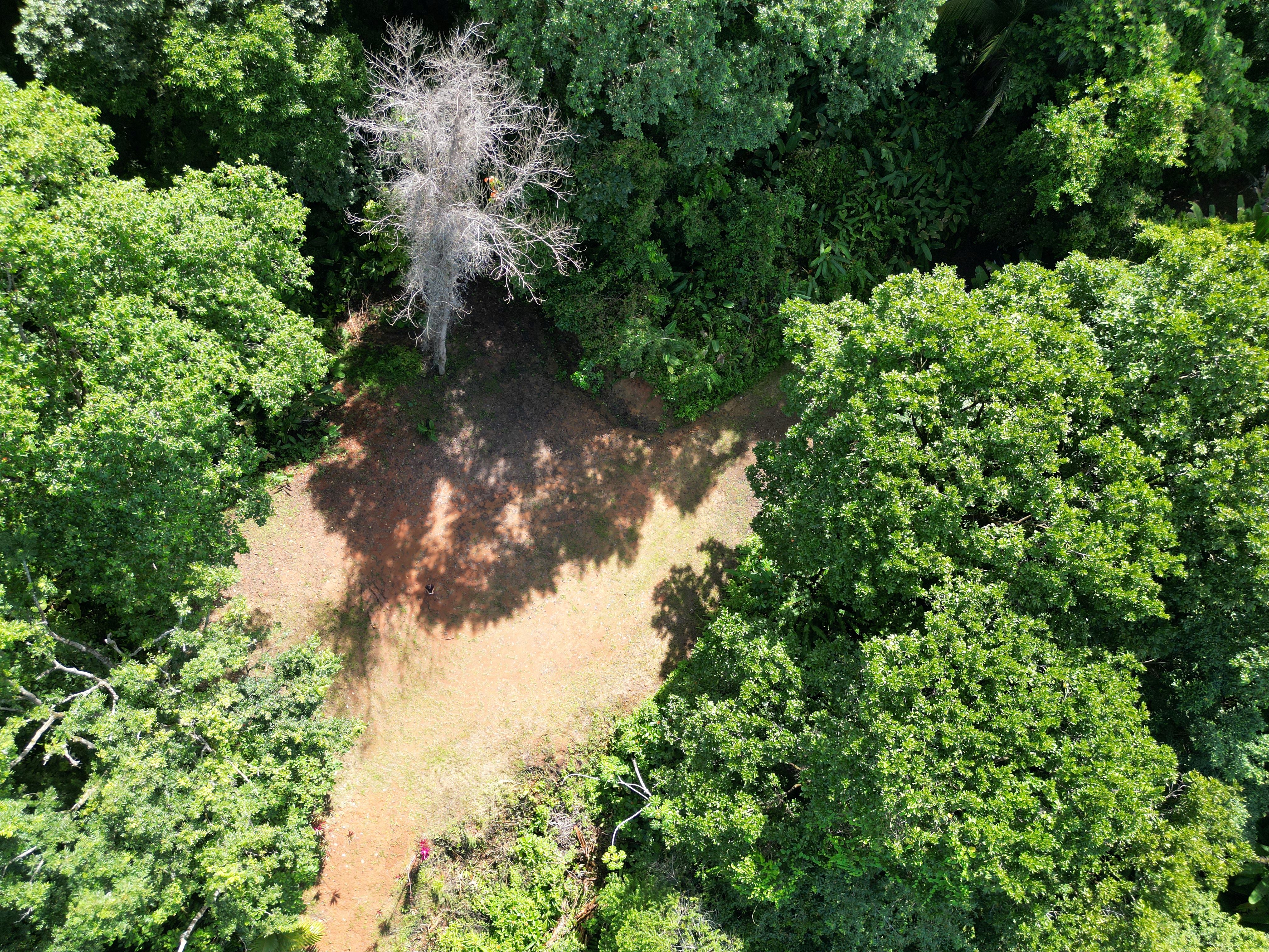 0 bed Land For Sale in Matapalo, Puntarenas - thumb 7