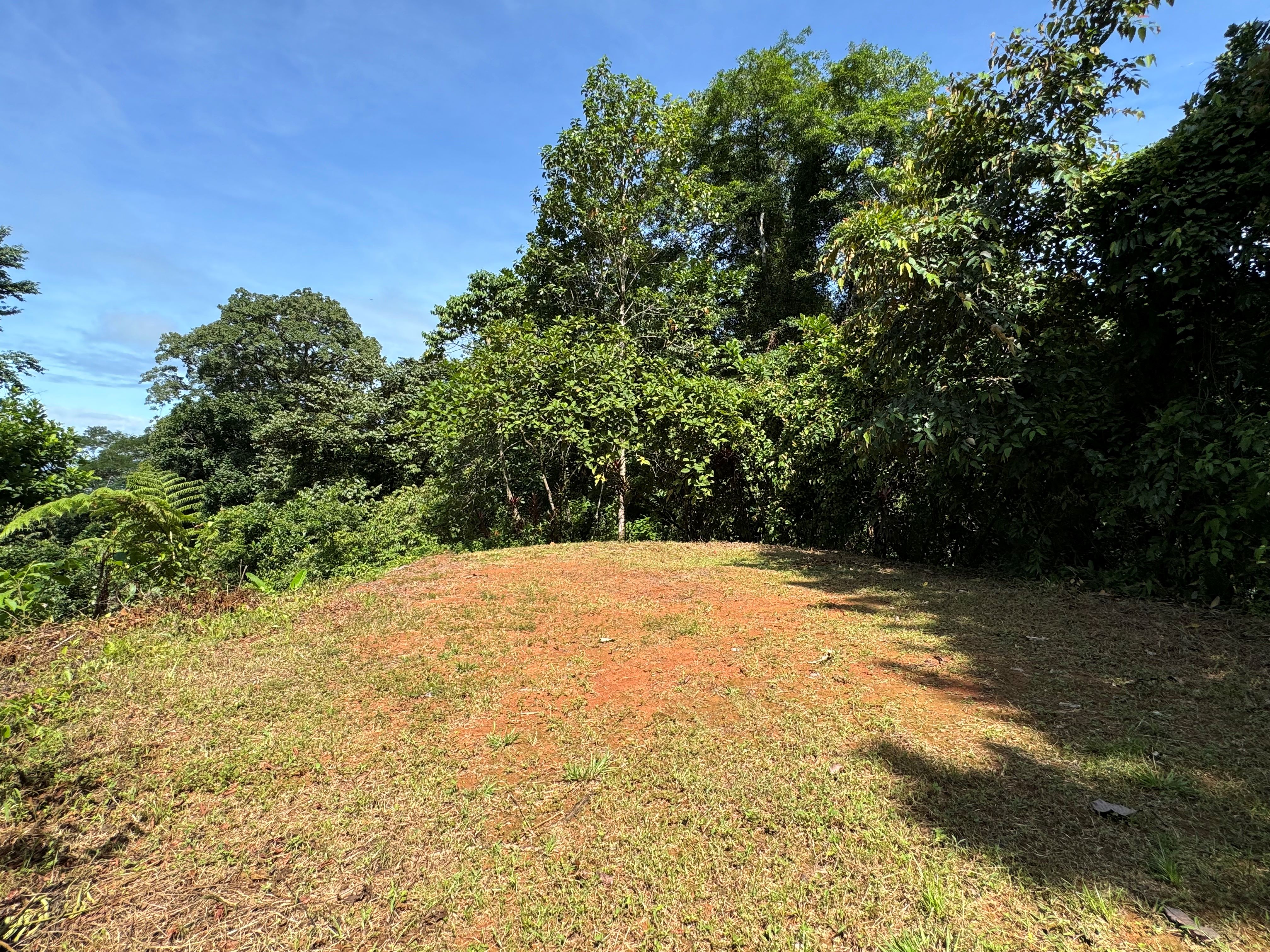 0 bed Land For Sale in Matapalo, Puntarenas - thumb 5