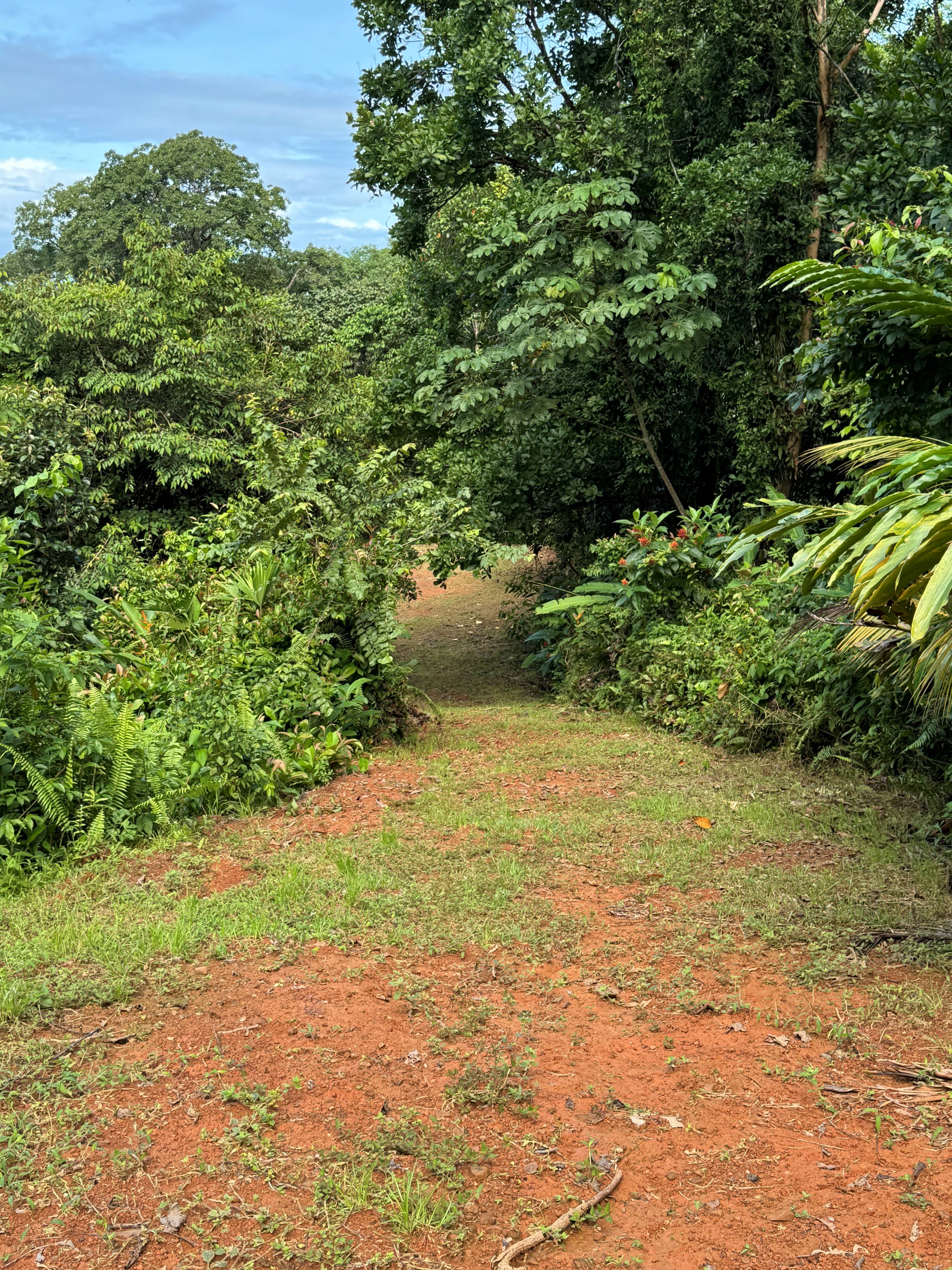 0 bed Land For Sale in Matapalo, Puntarenas - thumb 11