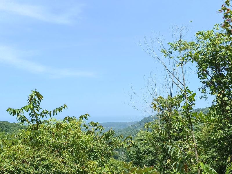 0 bed Land For Sale in Cabo Matapalo, Puntarenas - 1