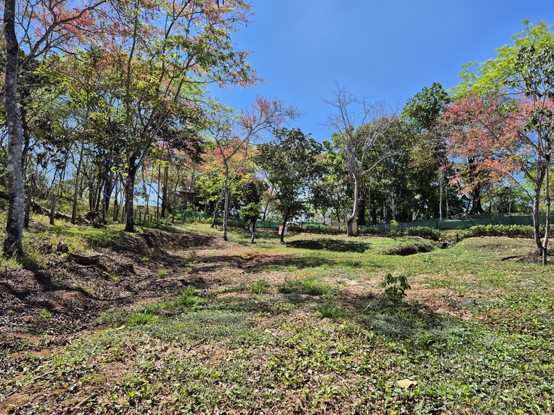 0 bed Land For Sale in Manzanillo, Puntarenas - 1