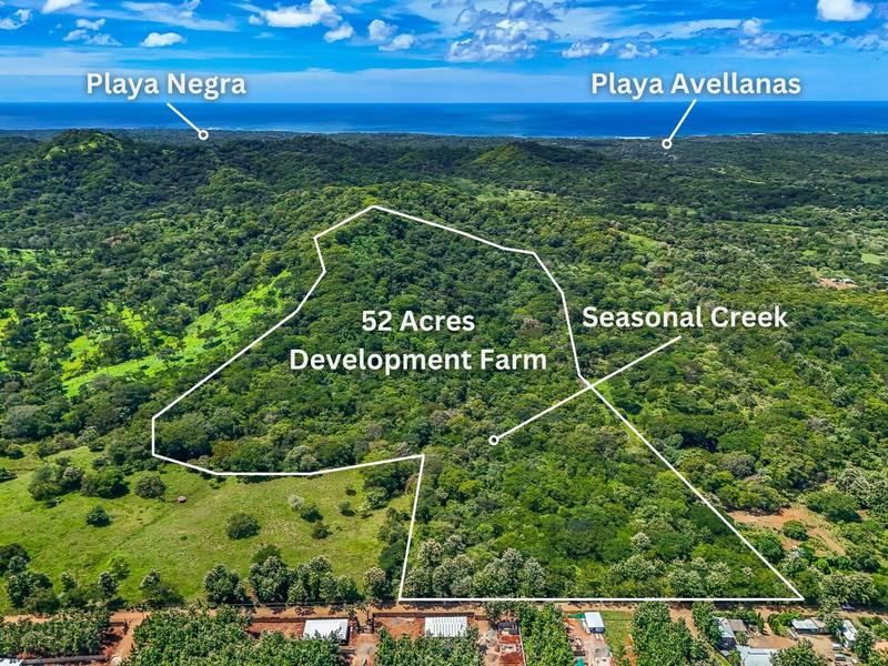 Land For Sale in Avellanas