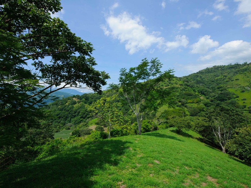 3 bed Land For Sale in Atenas, Alajuela - 1