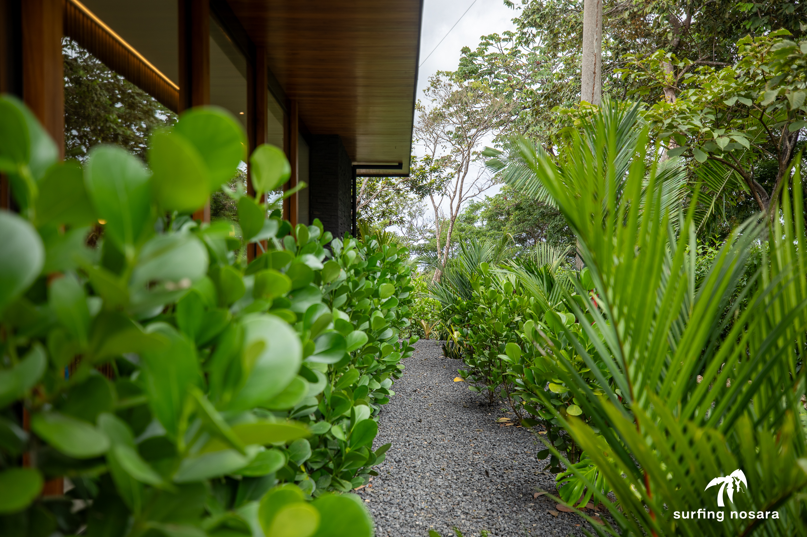 4 bed Single Family Homes For Sale in Nosara, Guanacaste - thumb 24