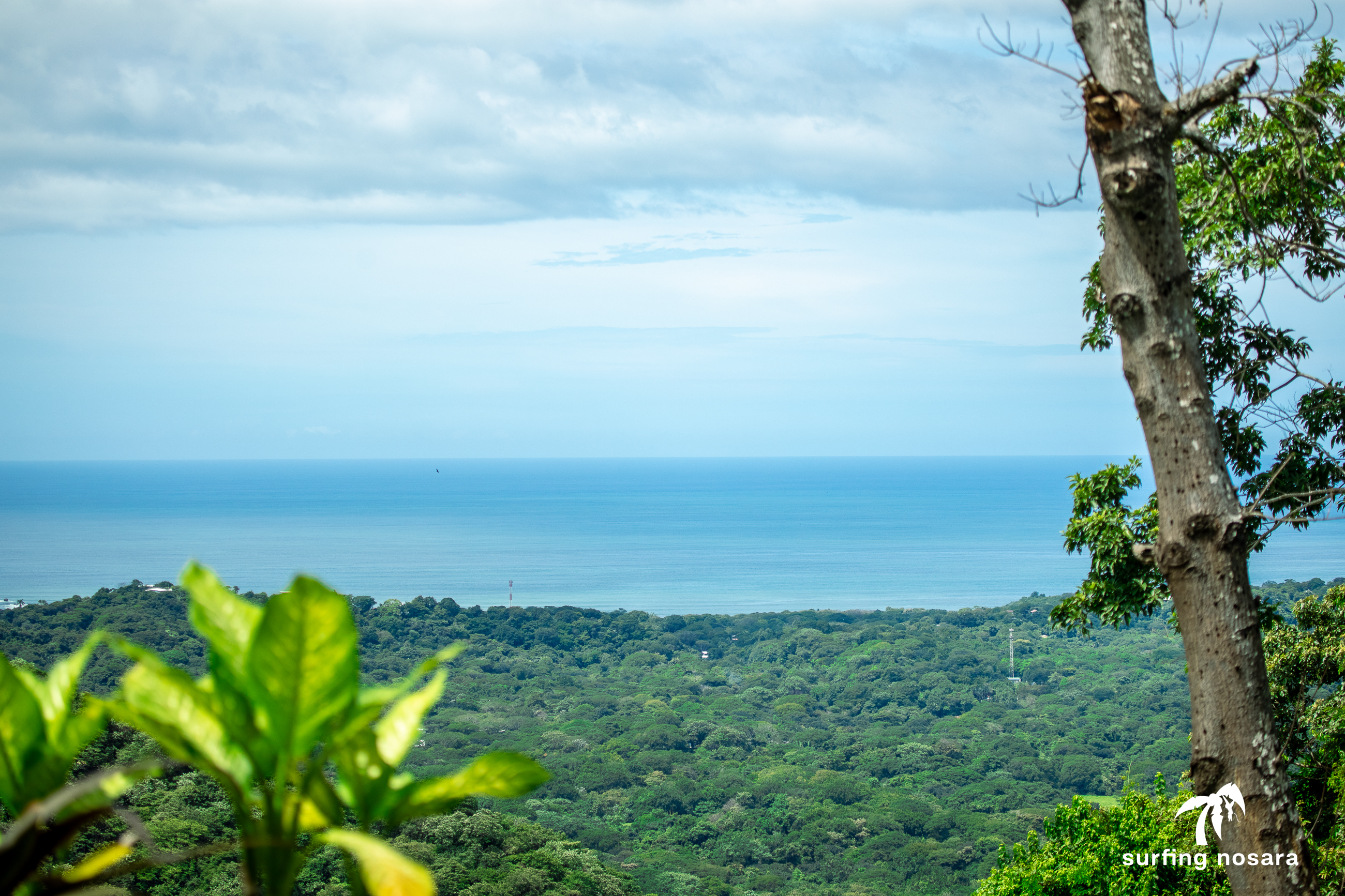 4 bed Single Family Homes For Sale in Nosara, Guanacaste - thumb 7