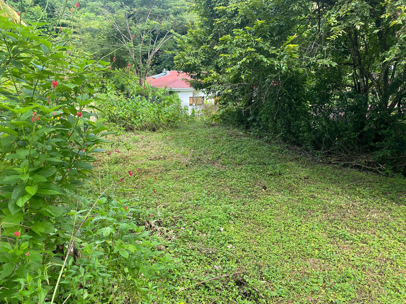 0 bed Land For Sale in Manzanillo, Puntarenas - thumb 5