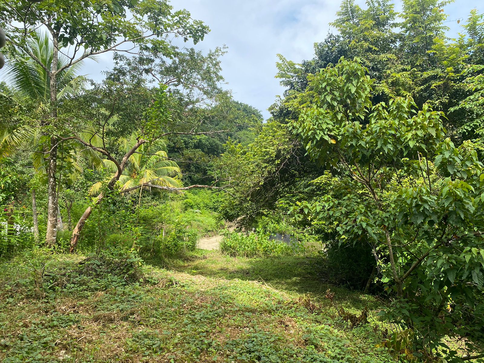 0 bed Land For Sale in Manzanillo, Puntarenas - thumb 10