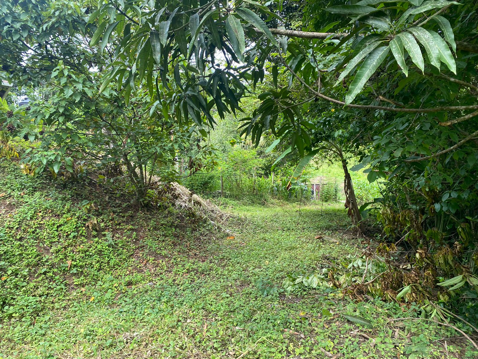 0 bed Land For Sale in Manzanillo, Puntarenas - thumb 7